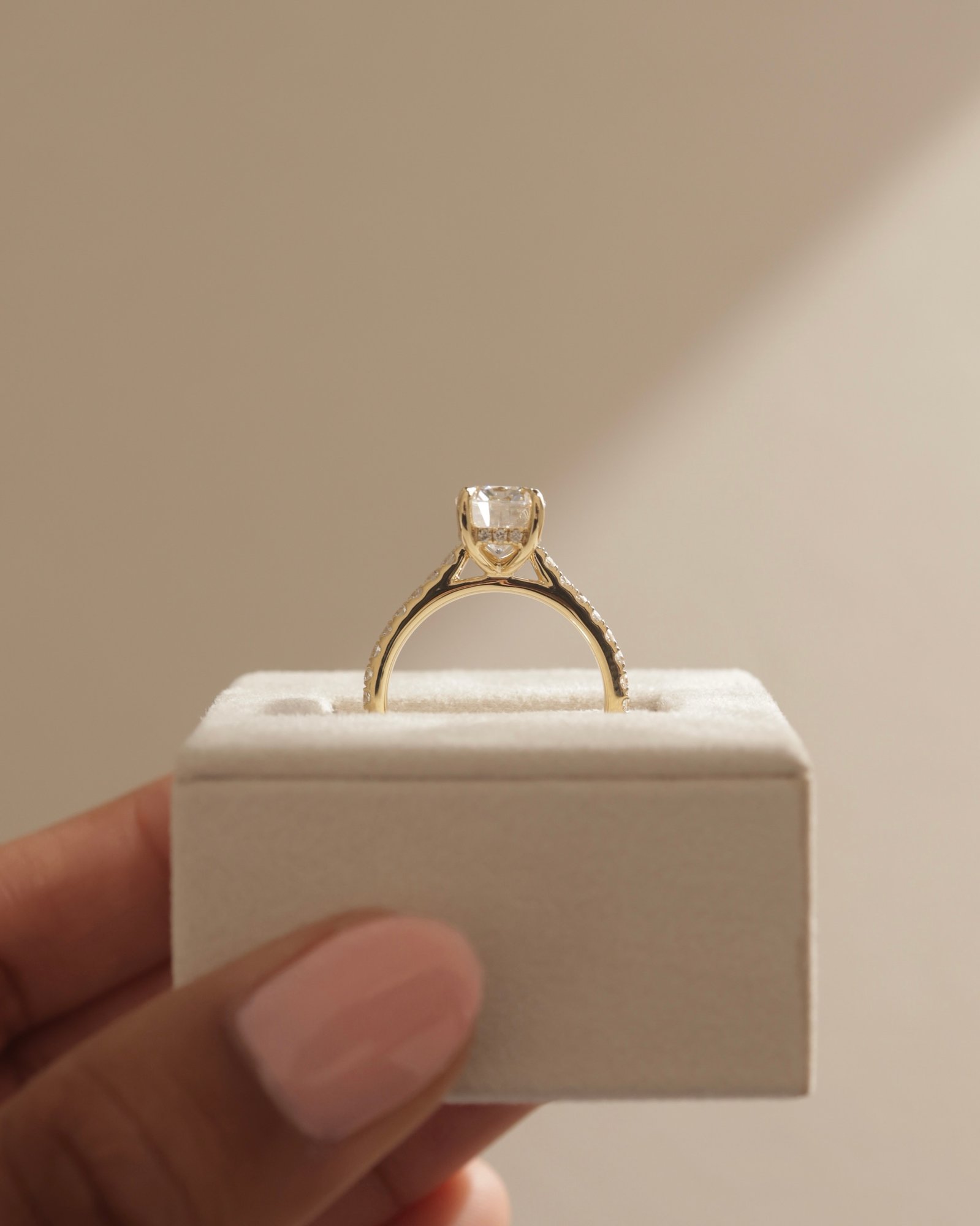 Annika - Elongated Cushion Cut with Hidden Halo Lifestyle Image