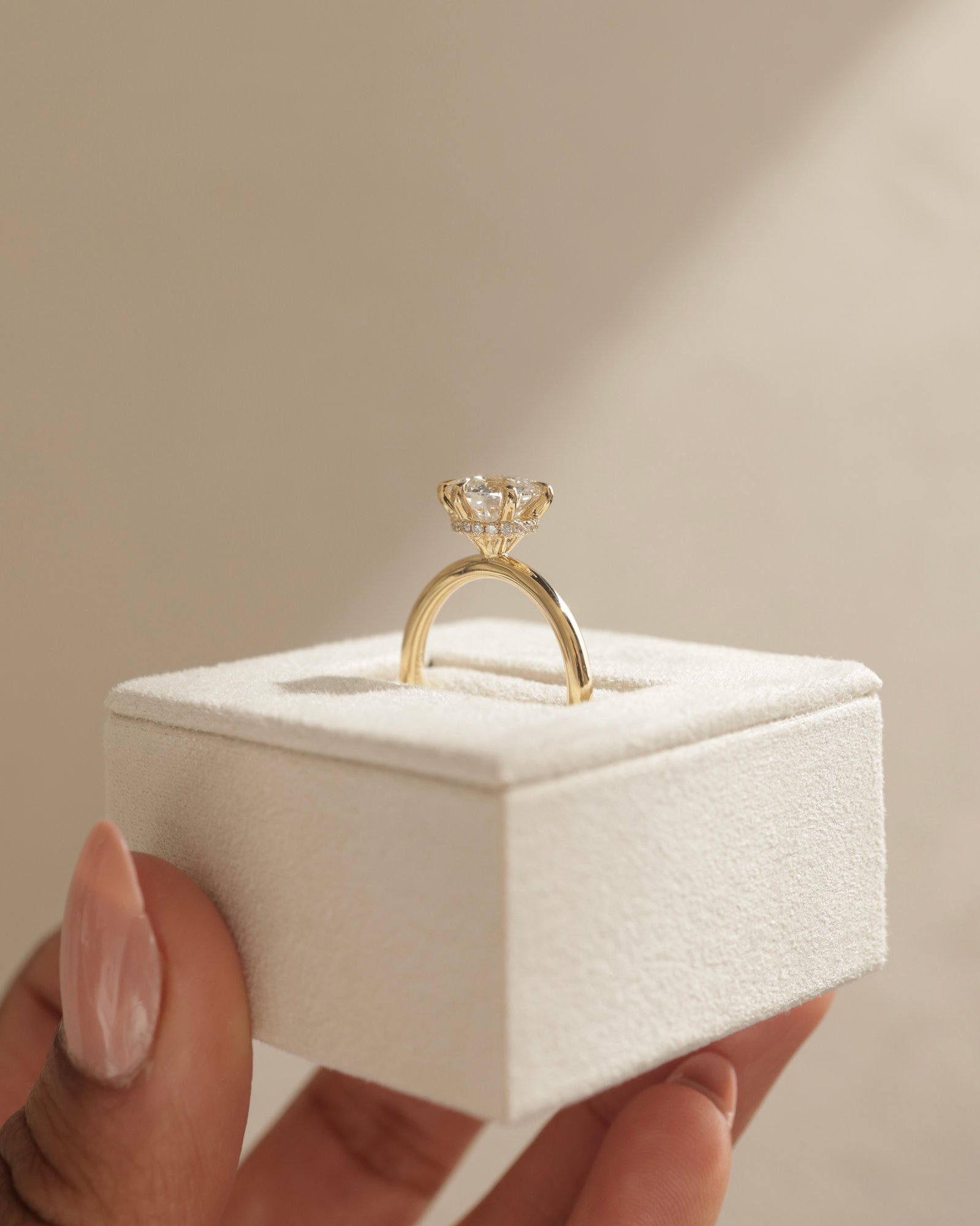 Aria - 6 Claw Round Solitaire with Hidden Halo Lifestyle Image