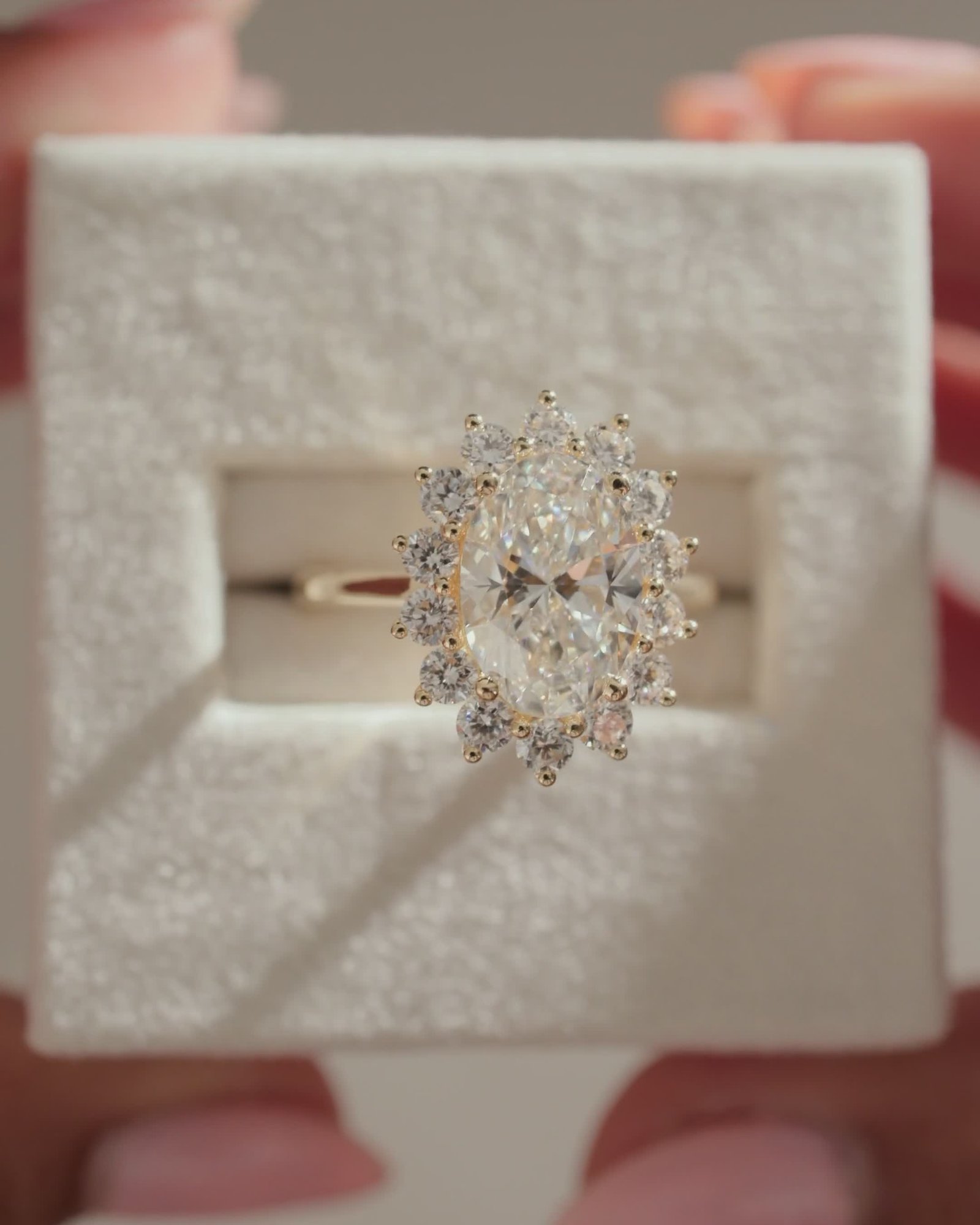 Arielle - Oval Halo with Cathedral Setting Lifestyle Image