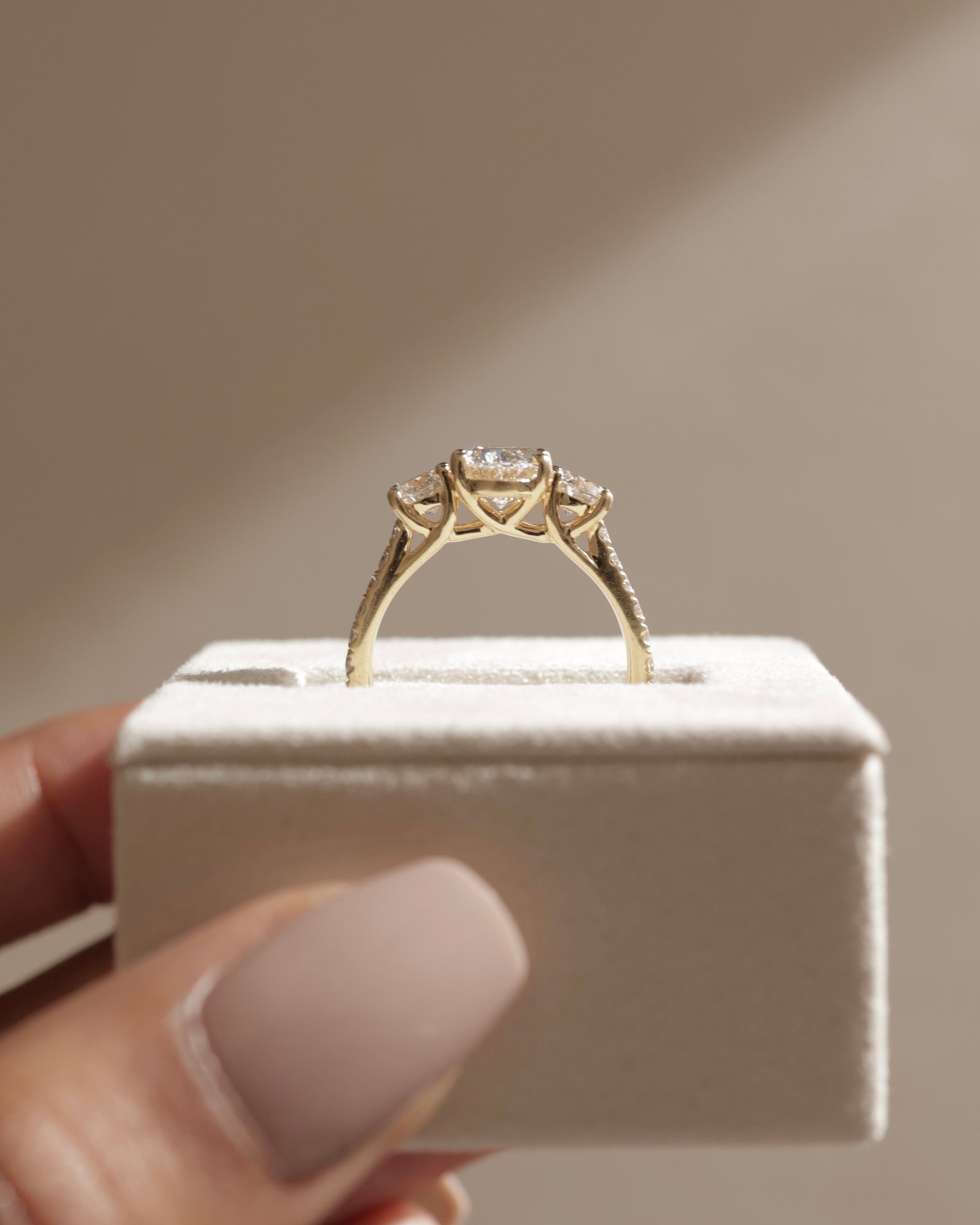 Aviana - 4 Claw Oval Trilogy with Pav Lifestyle Image