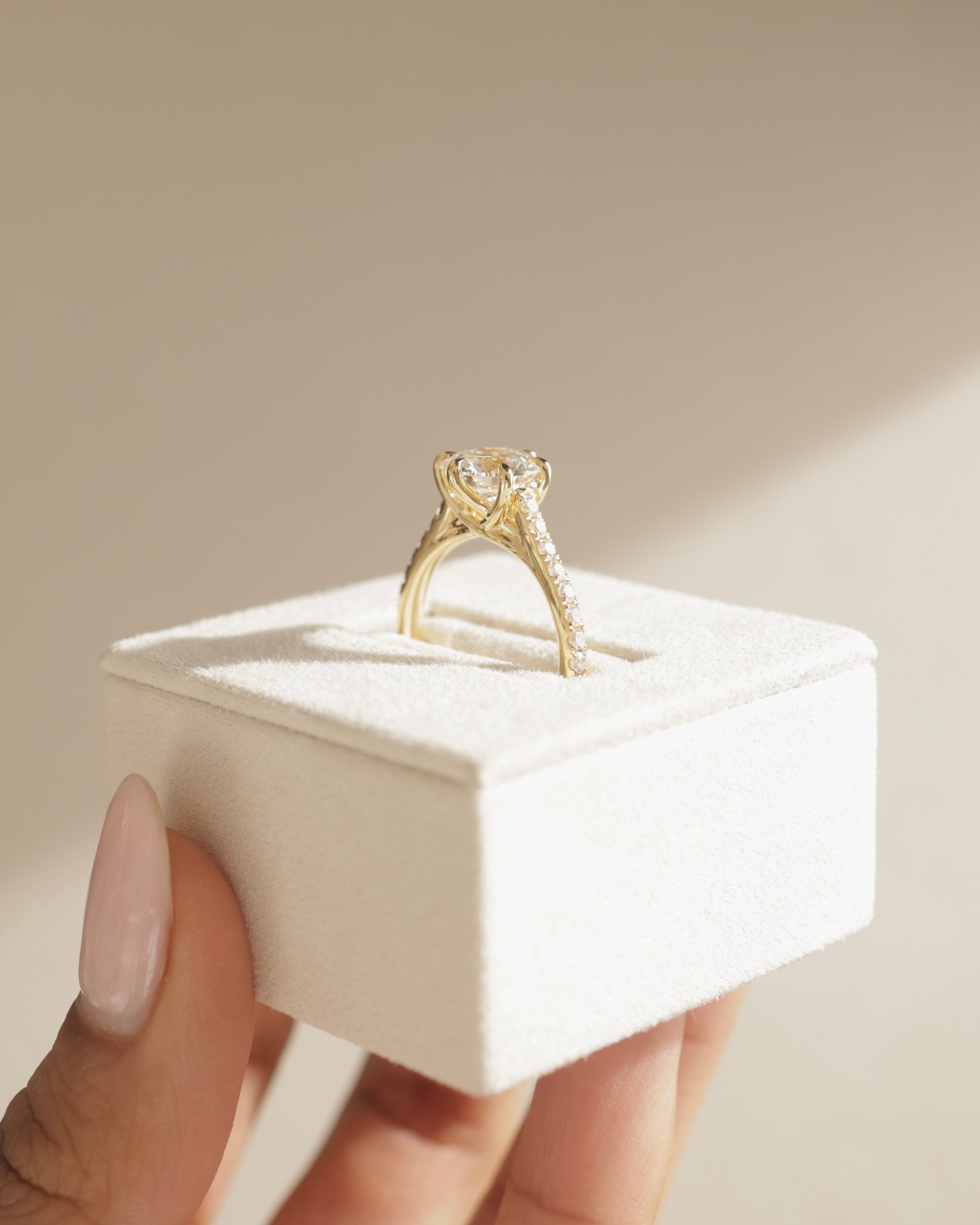 Briar  6 Claw Pav Cathedral Round Solitaire Lifestyle Image