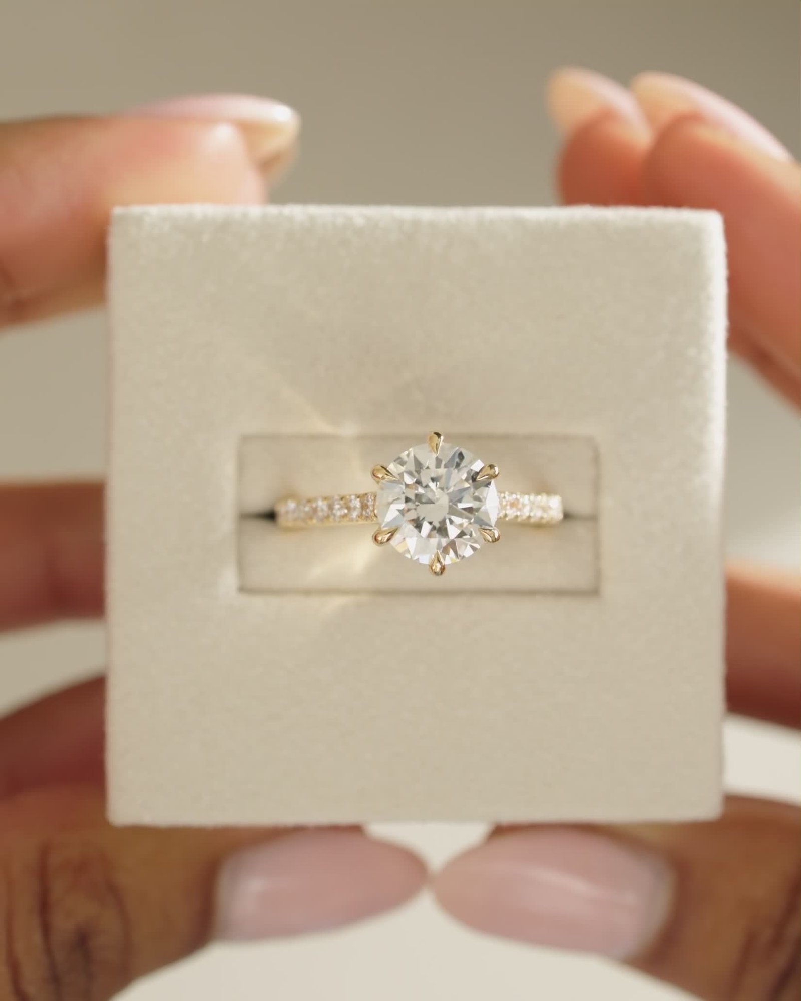 Briar  6 Claw Pav Cathedral Round Solitaire Lifestyle Image