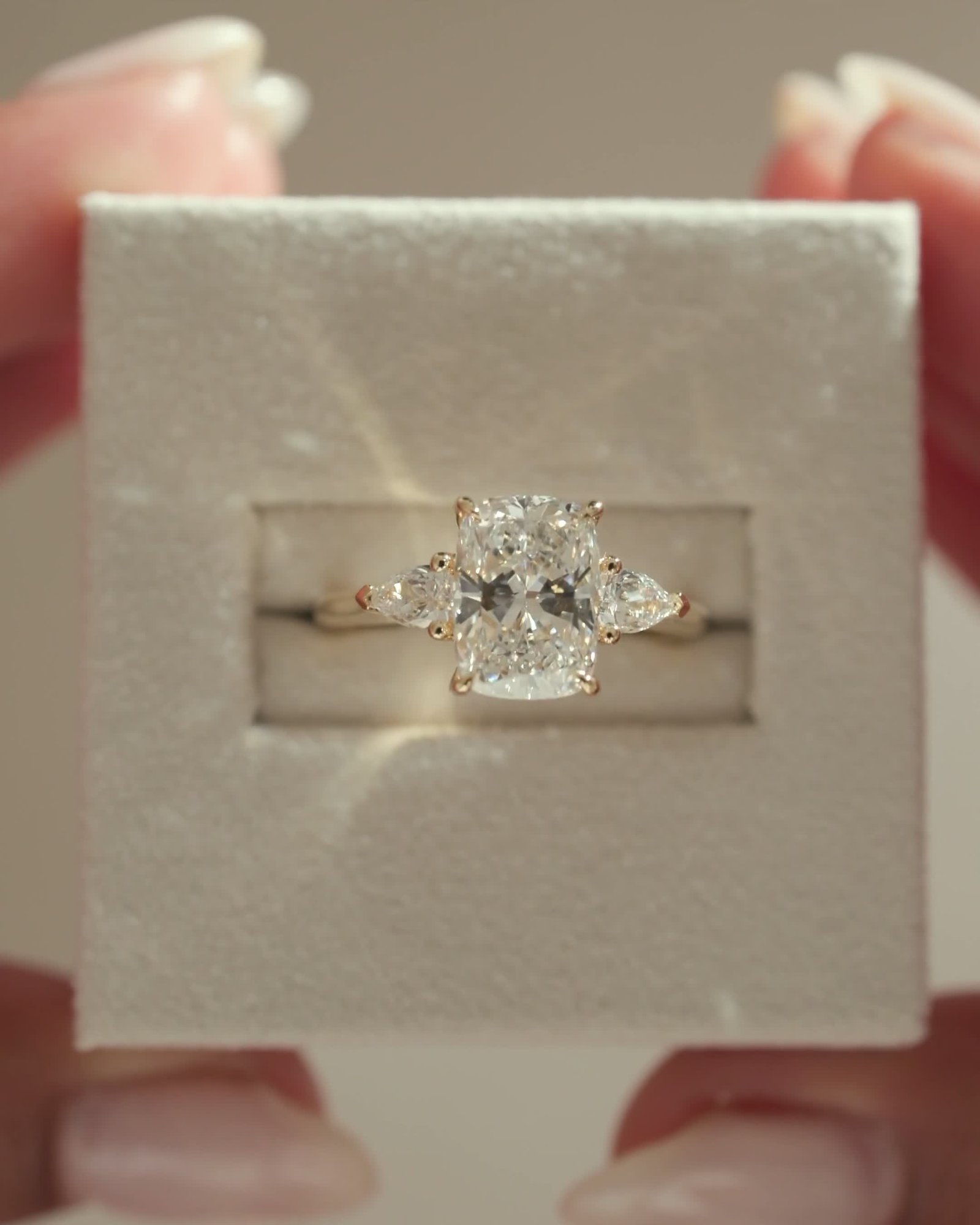 Cataleya - 4 Claw Elongated Cushion with Accent Stones Lifestyle Image