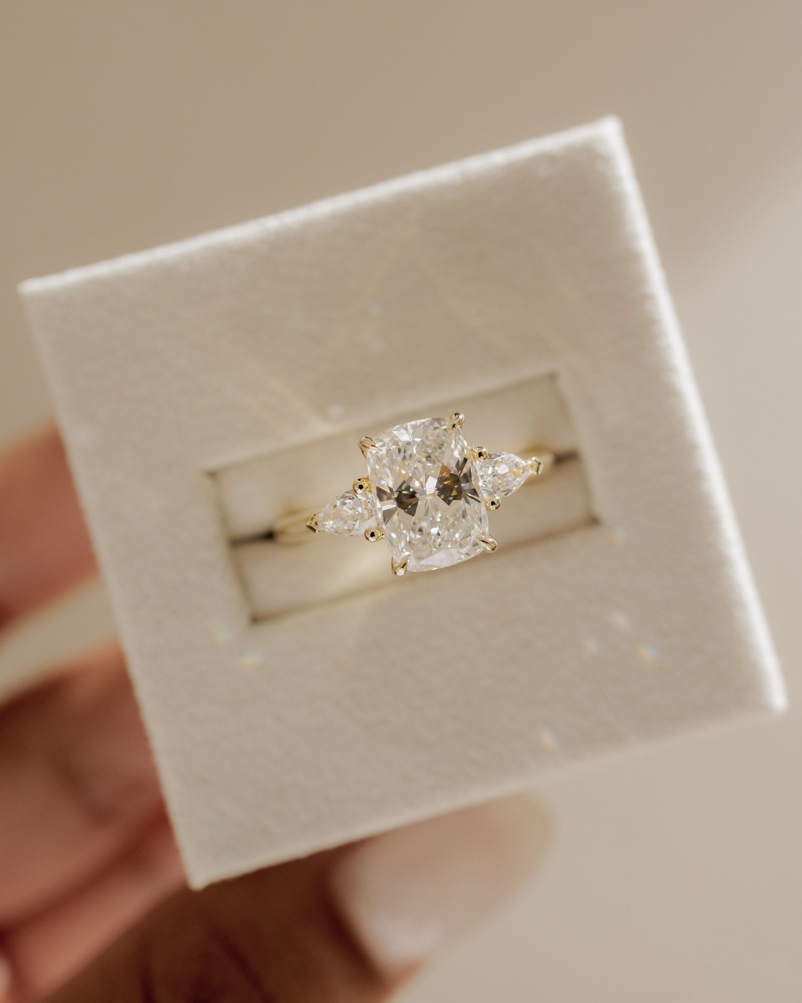 Cataleya - 4 Claw Elongated Cushion with Accent Stones Lifestyle Image