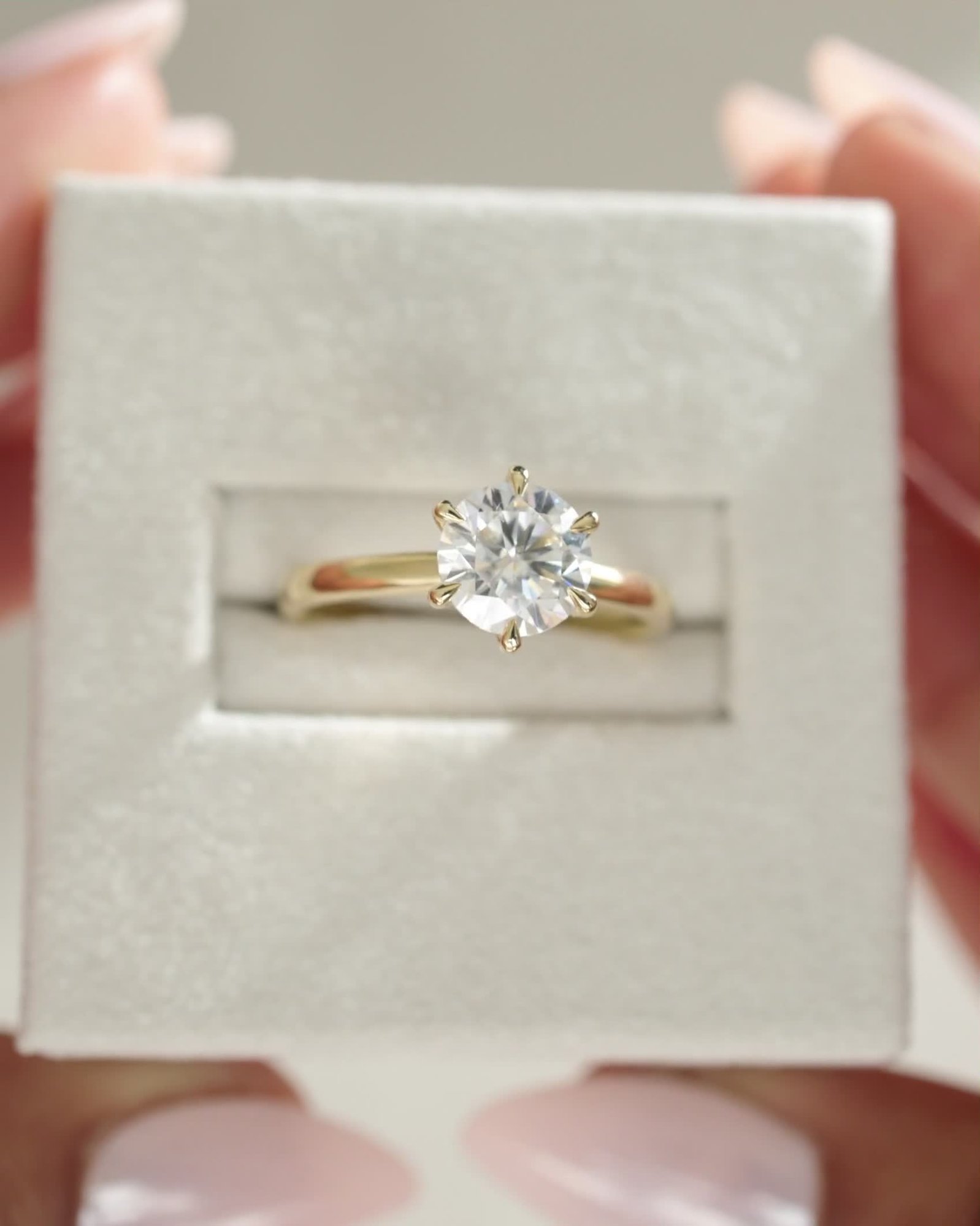 Daniela - Six Claw Solitaire Lifestyle Image