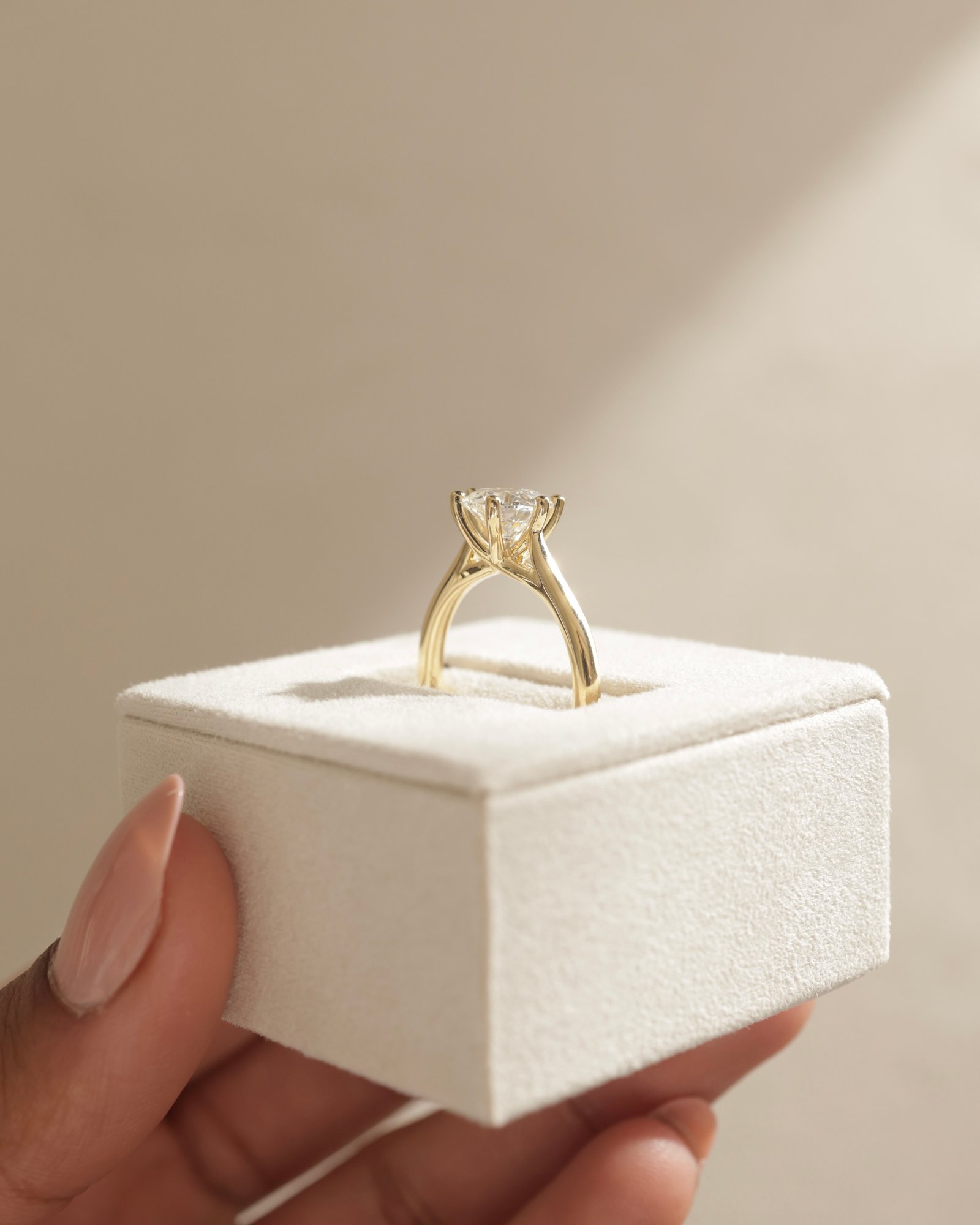 Delilah - 6 Claw Cathedral Round Solitaire Lifestyle Image