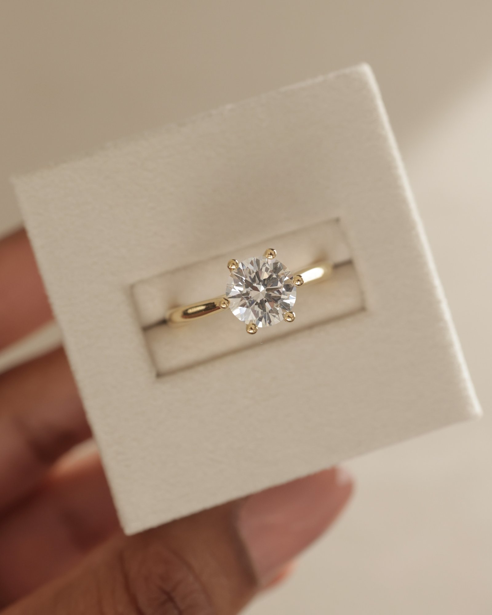 Delilah - 6 Claw Cathedral Round Solitaire Lifestyle Image