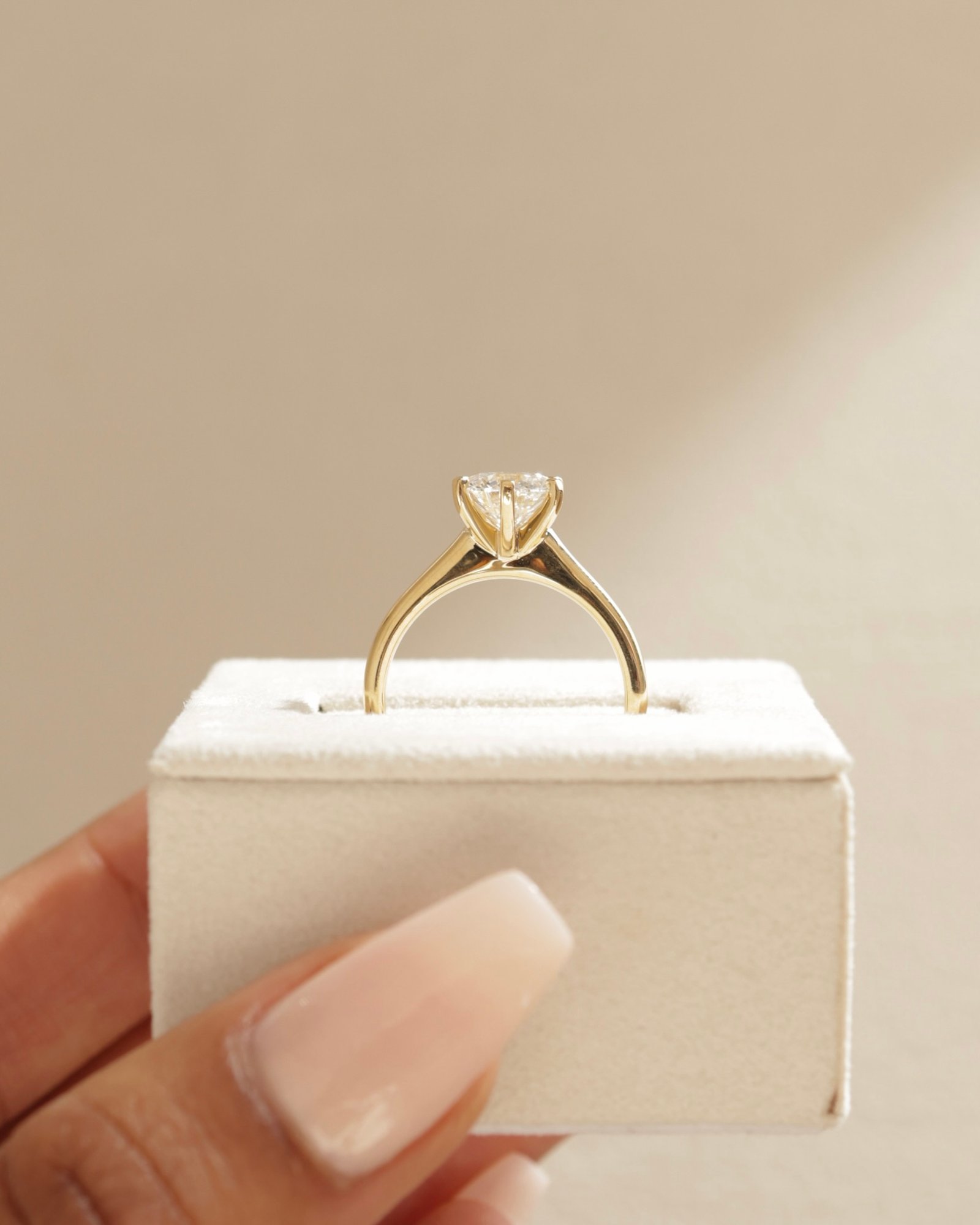 Gabrielle  6 Claw Solitaire Lifestyle Image