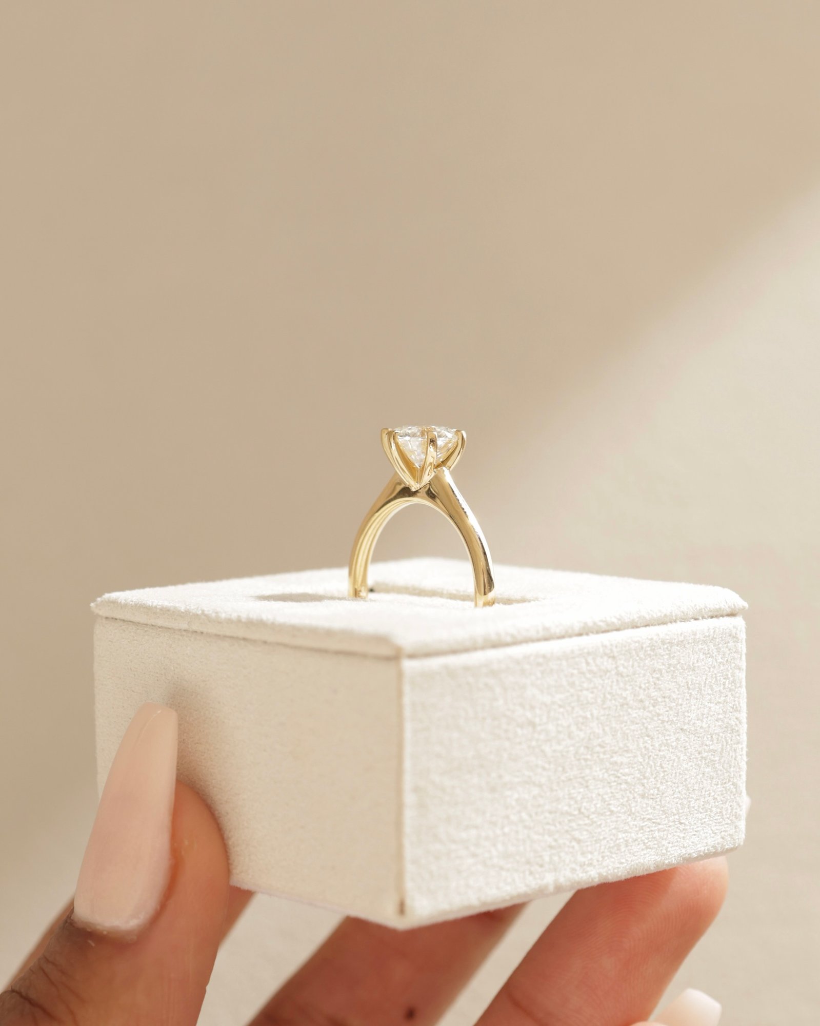 Gabrielle  6 Claw Solitaire Lifestyle Image