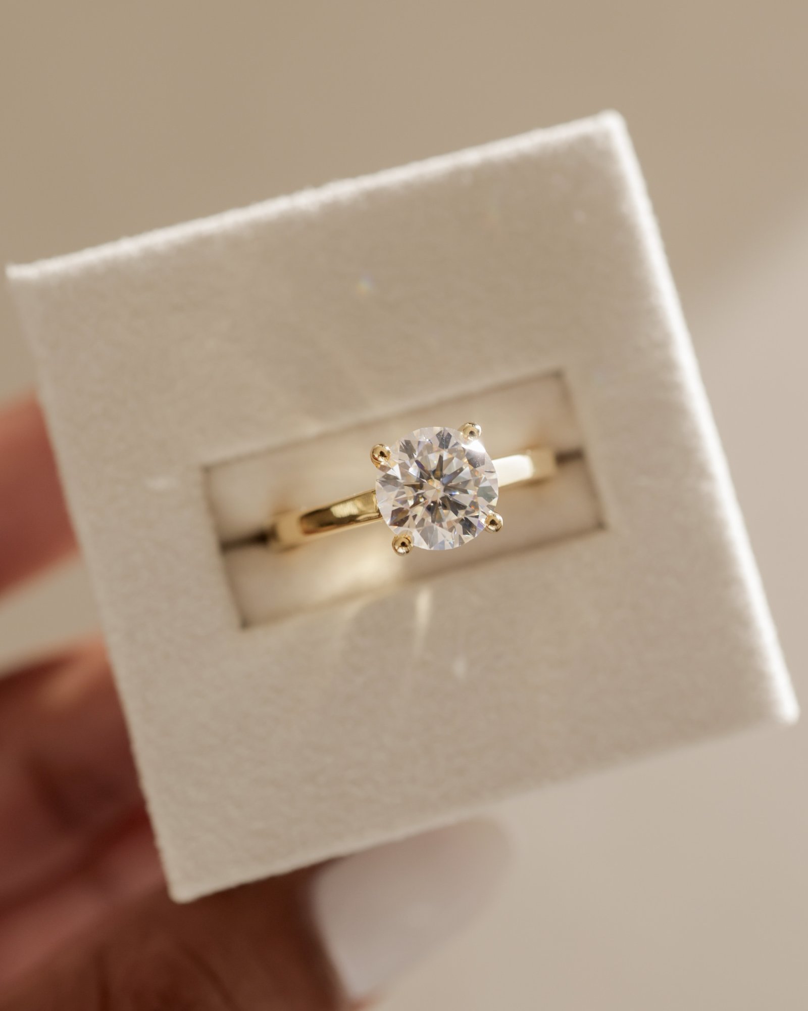 Georgia  4 Claw Cathedral Round Solitaire Lifestyle Image