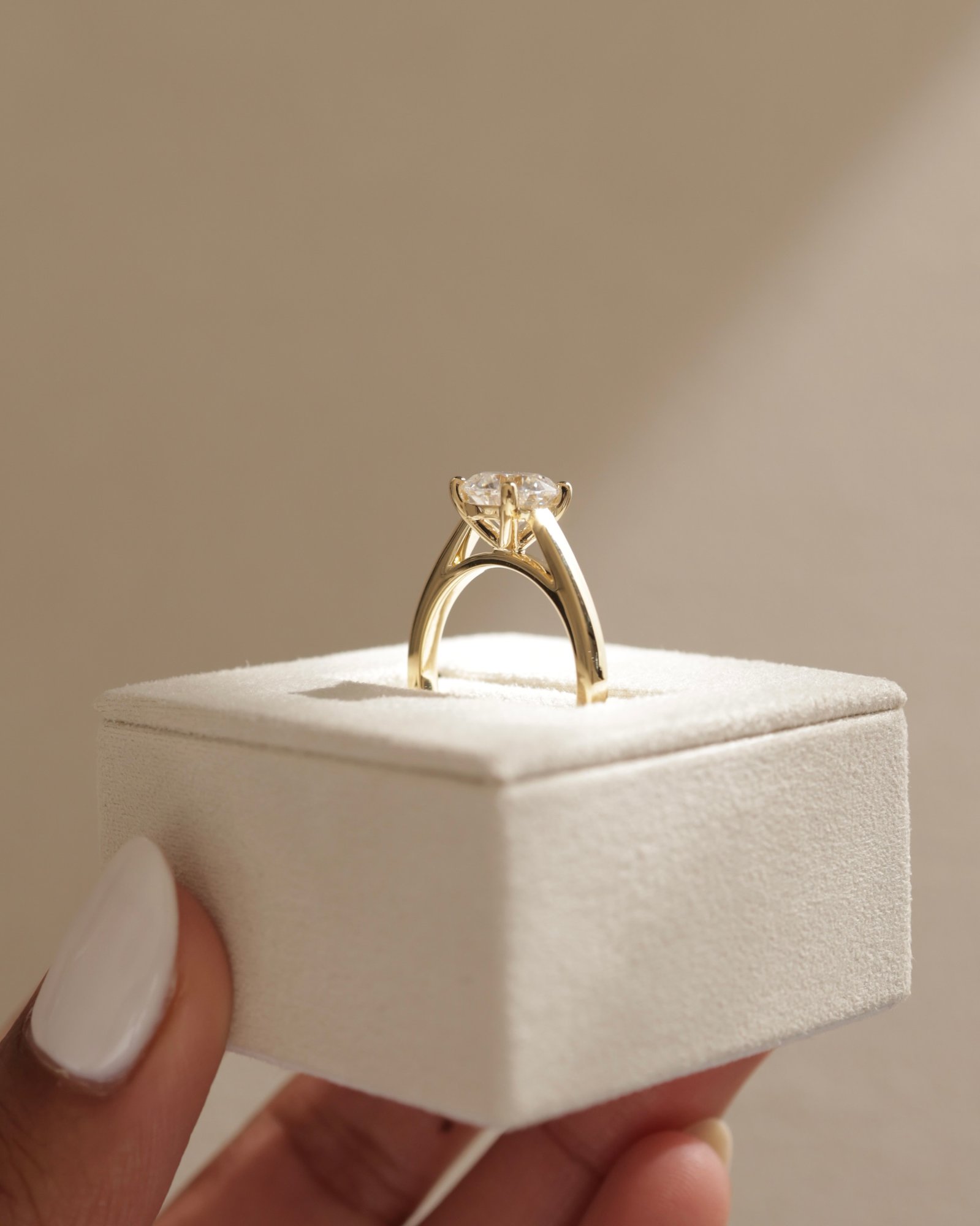 Georgia  4 Claw Cathedral Round Solitaire Lifestyle Image