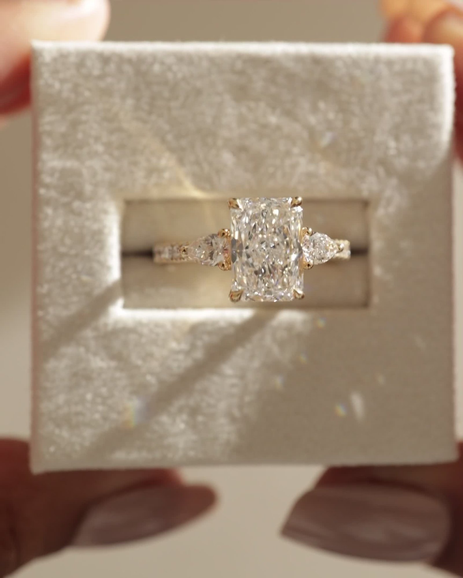 Ginny - Radiant Trilogy with Pav Lifestyle Image