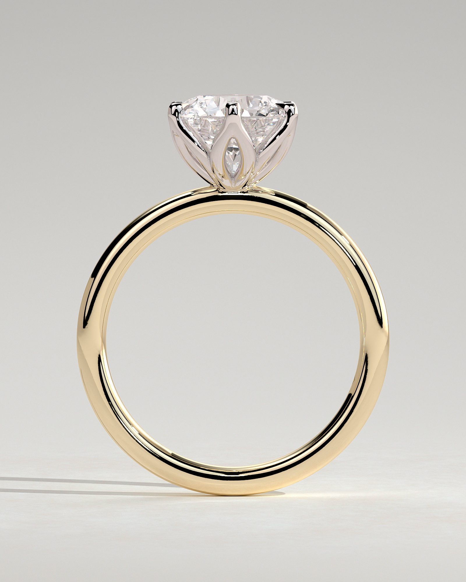 Iris  6 Claw Round Solitaire - 18k Yellow Gold / 18k White Gold