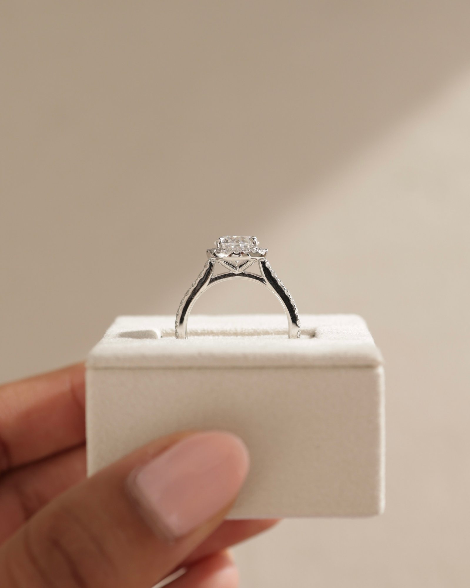 Leah   Cathedral Round Halo with Pav Lifestyle Image