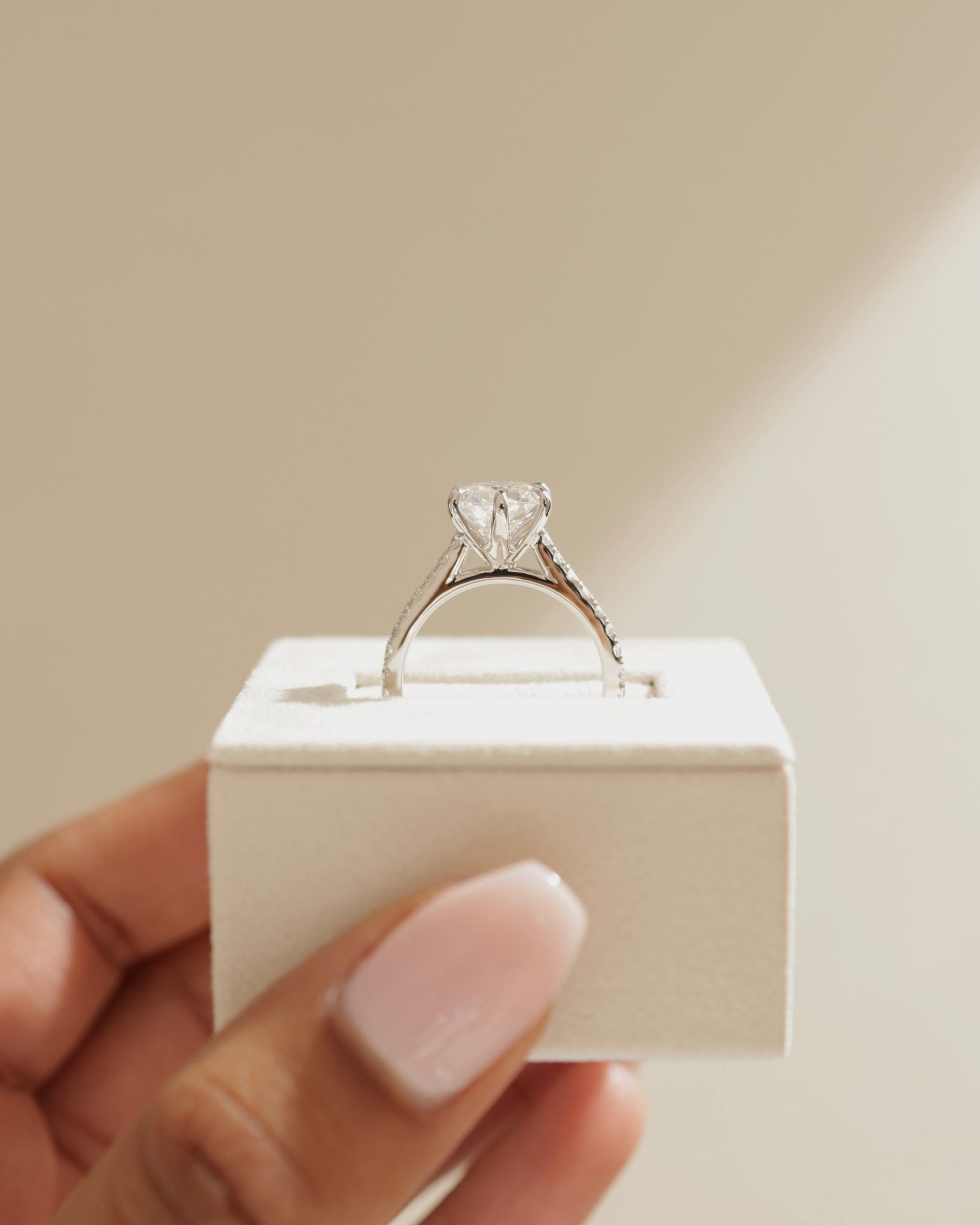 Maisy - 6 Claw Cathedral Round Solitaire with French Pav Lifestyle Image