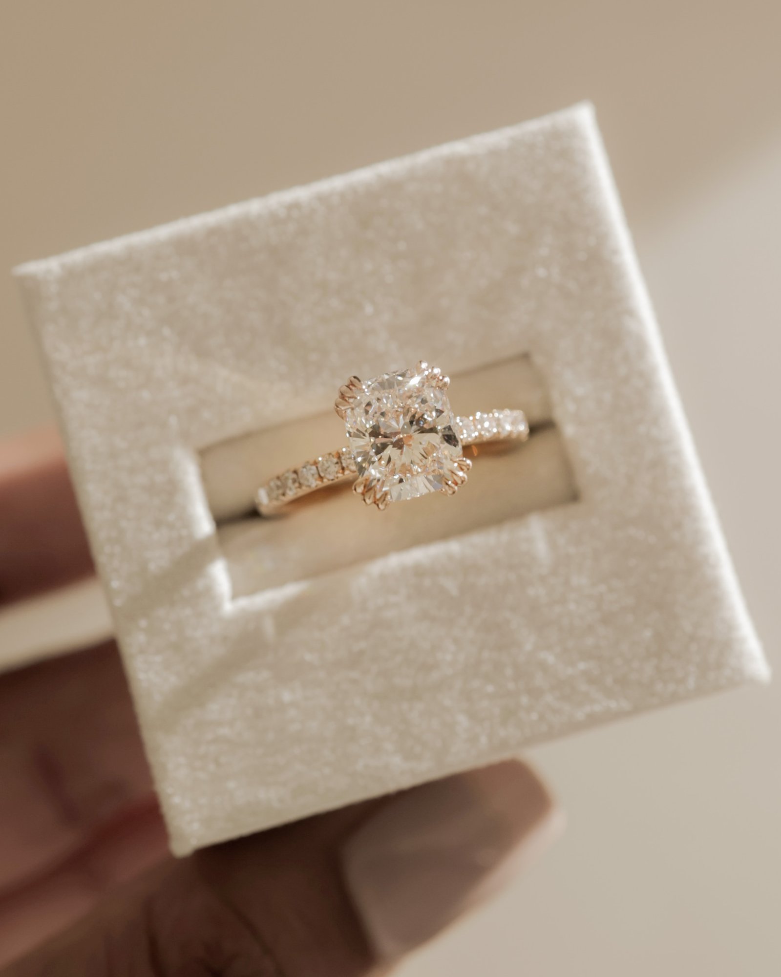 Mandy - Elongated Cushion with Triple Eagle Tip Claws and Pav Band Lifestyle Image