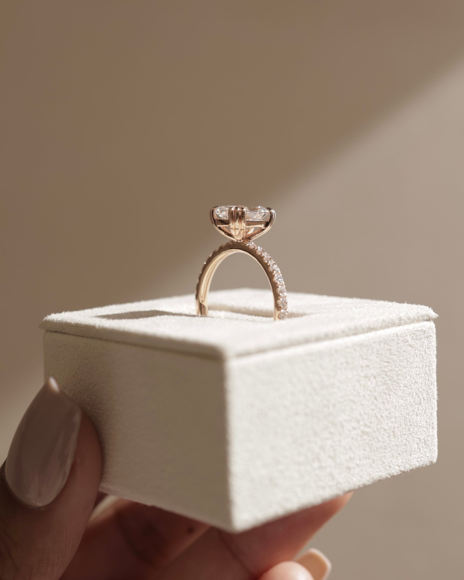 Mandy - Elongated Cushion with Triple Eagle Tip Claws and Pav Band Lifestyle Image