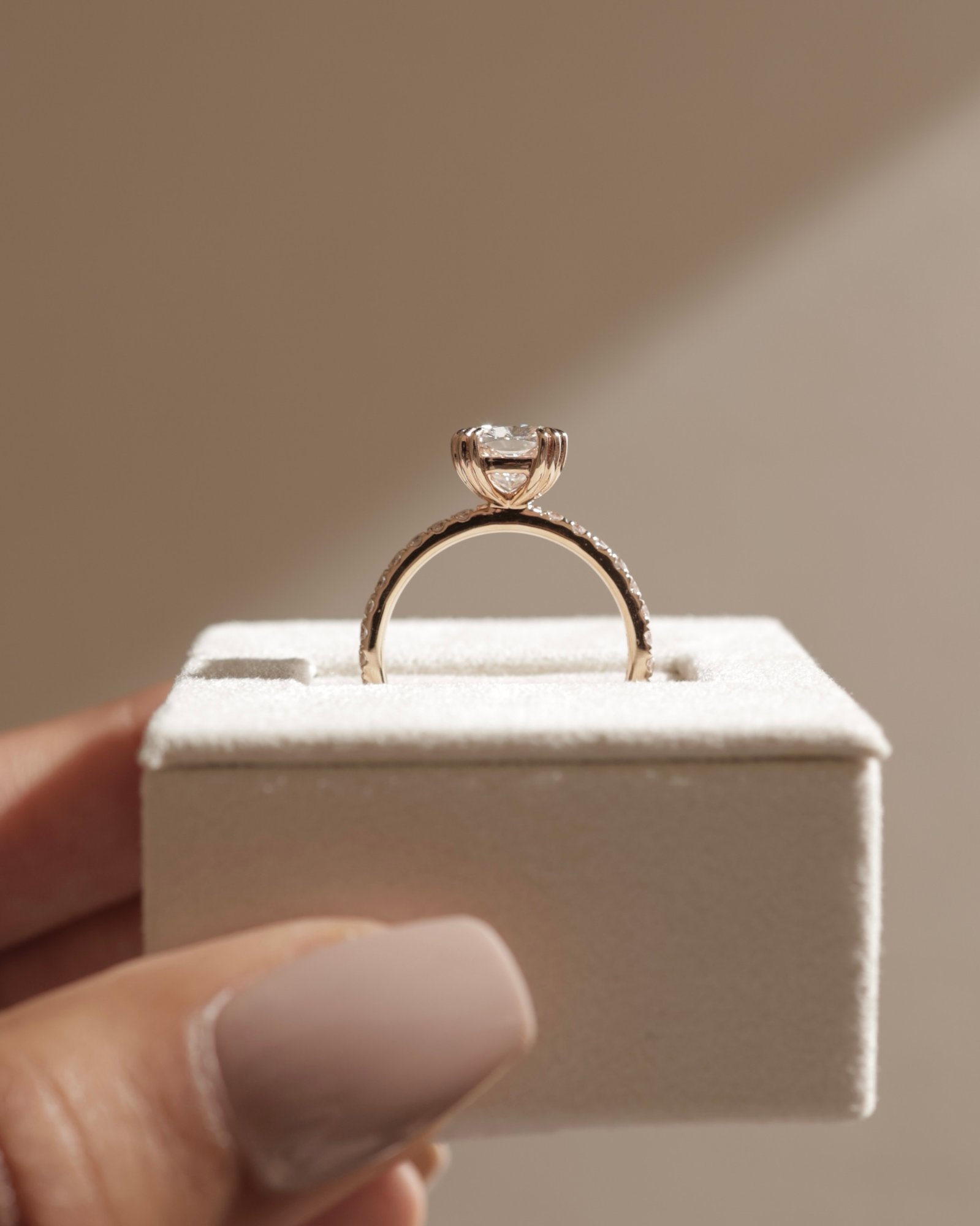 Mandy - Elongated Cushion with Triple Eagle Tip Claws and Pav Band Lifestyle Image