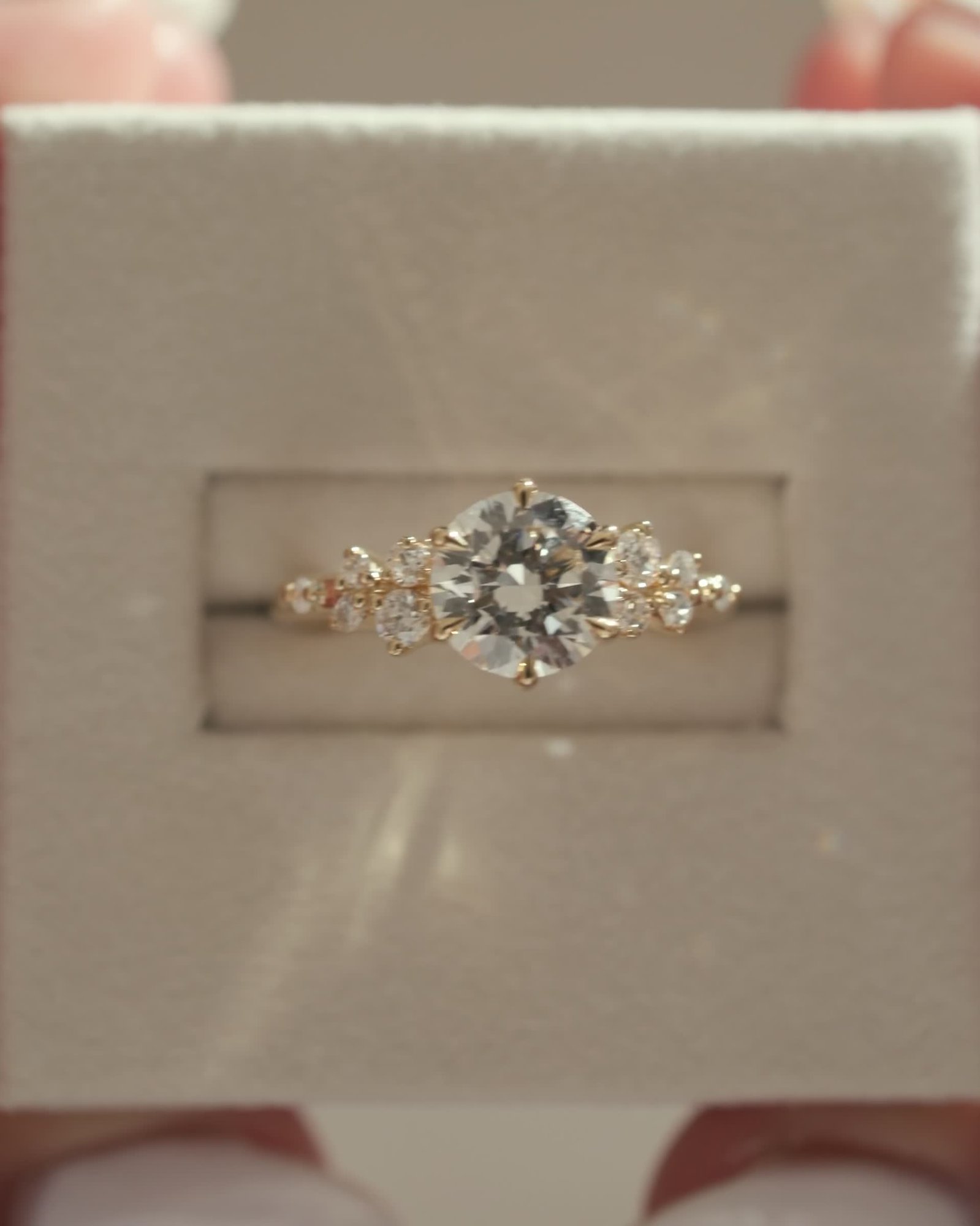 Molly - 6 Claw Round Solitaire with Accent Stones Lifestyle Image