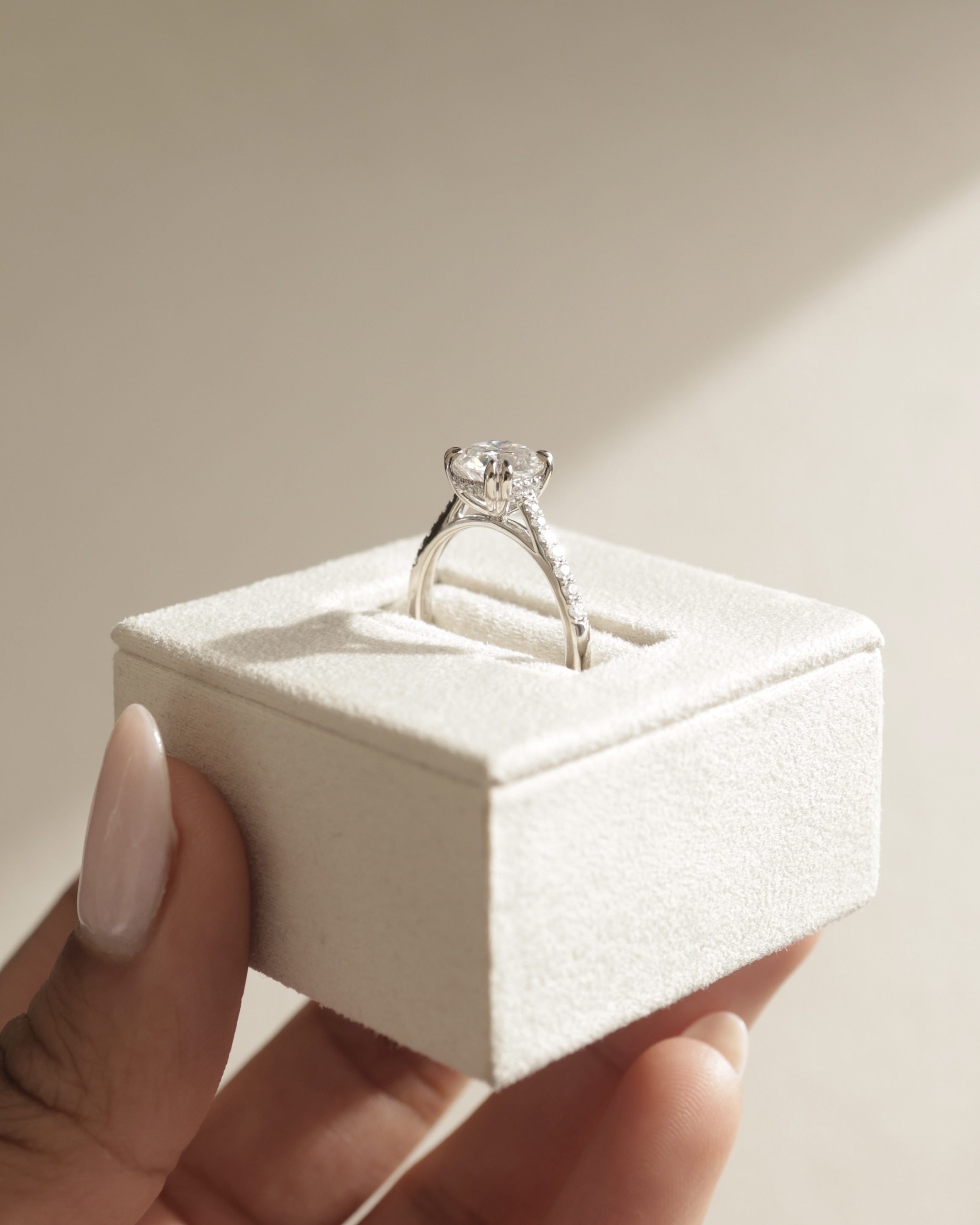 Amelia  Cathedral Pav Round Solitaire with Hidden Halo Lifestyle Image