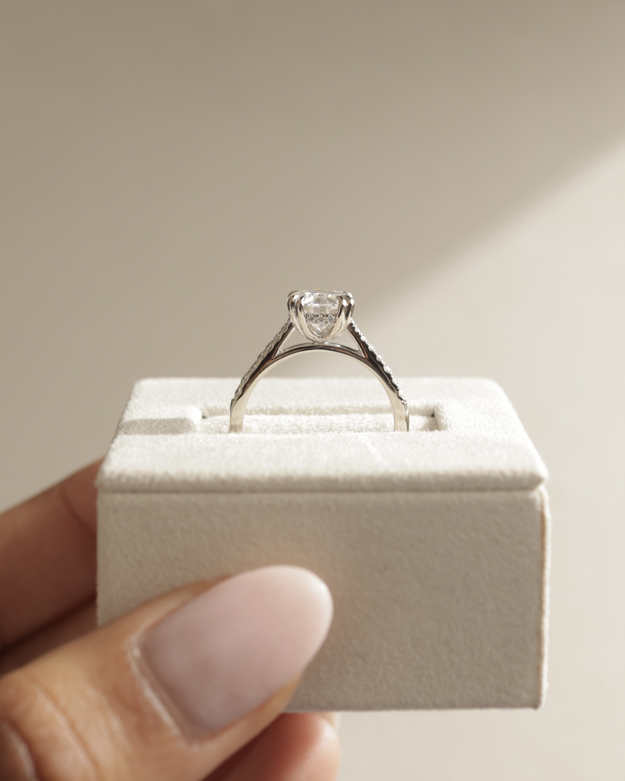 Amelia  Cathedral Pav Round Solitaire with Hidden Halo Lifestyle Image