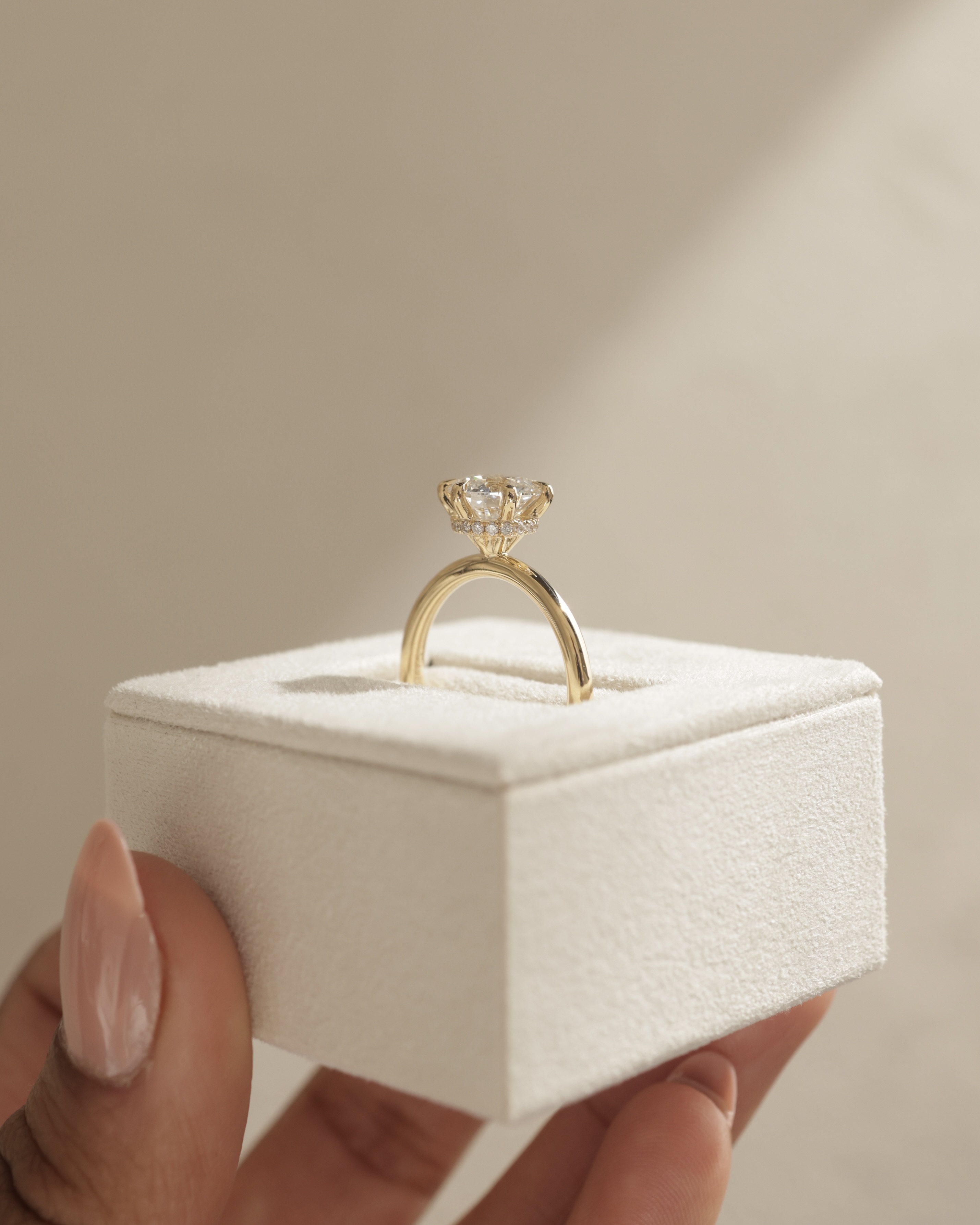 Aria - 6 Claw Round Solitaire with Hidden Halo Lifestyle Image