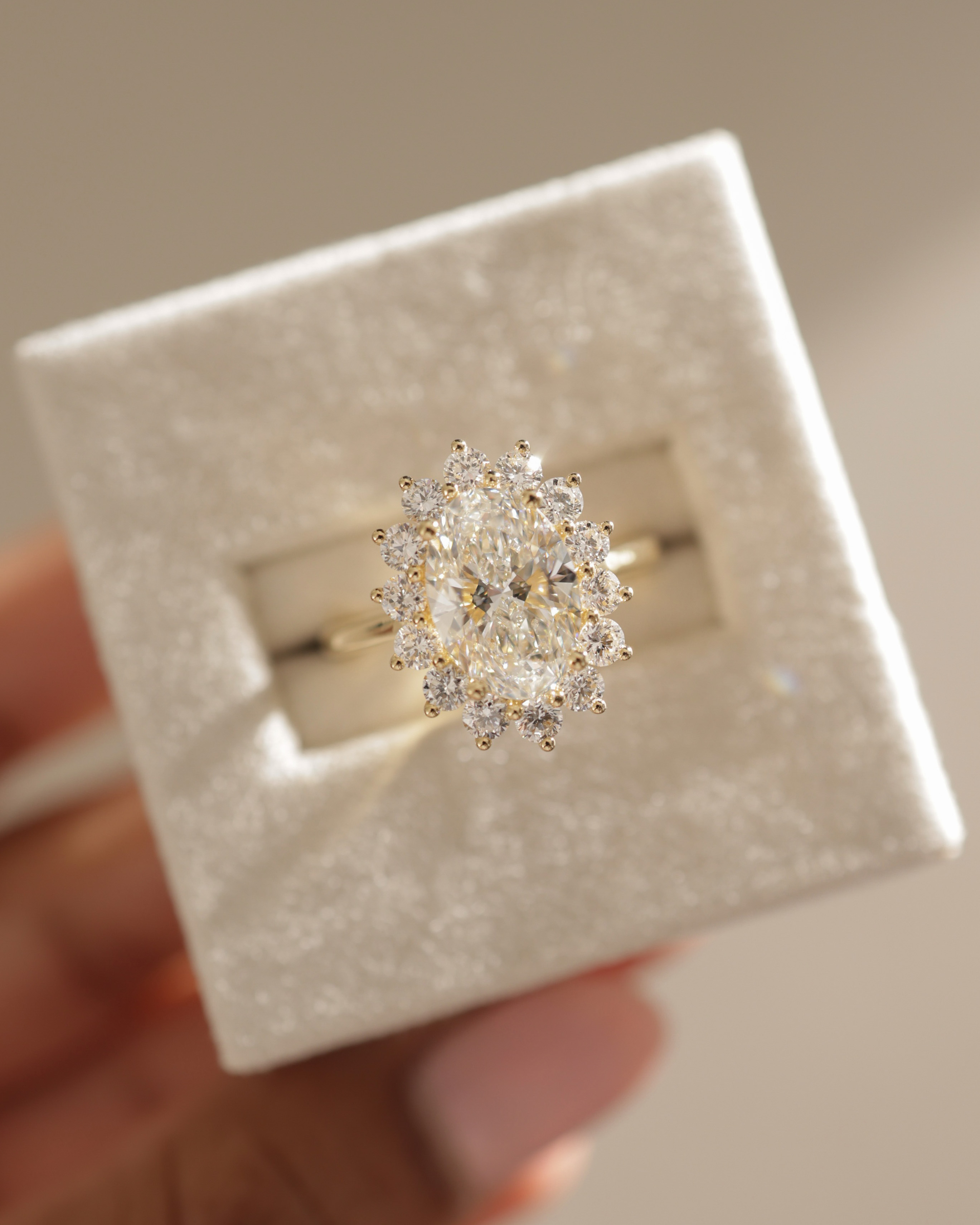 Arielle - Oval Halo with Cathedral Setting Lifestyle Image