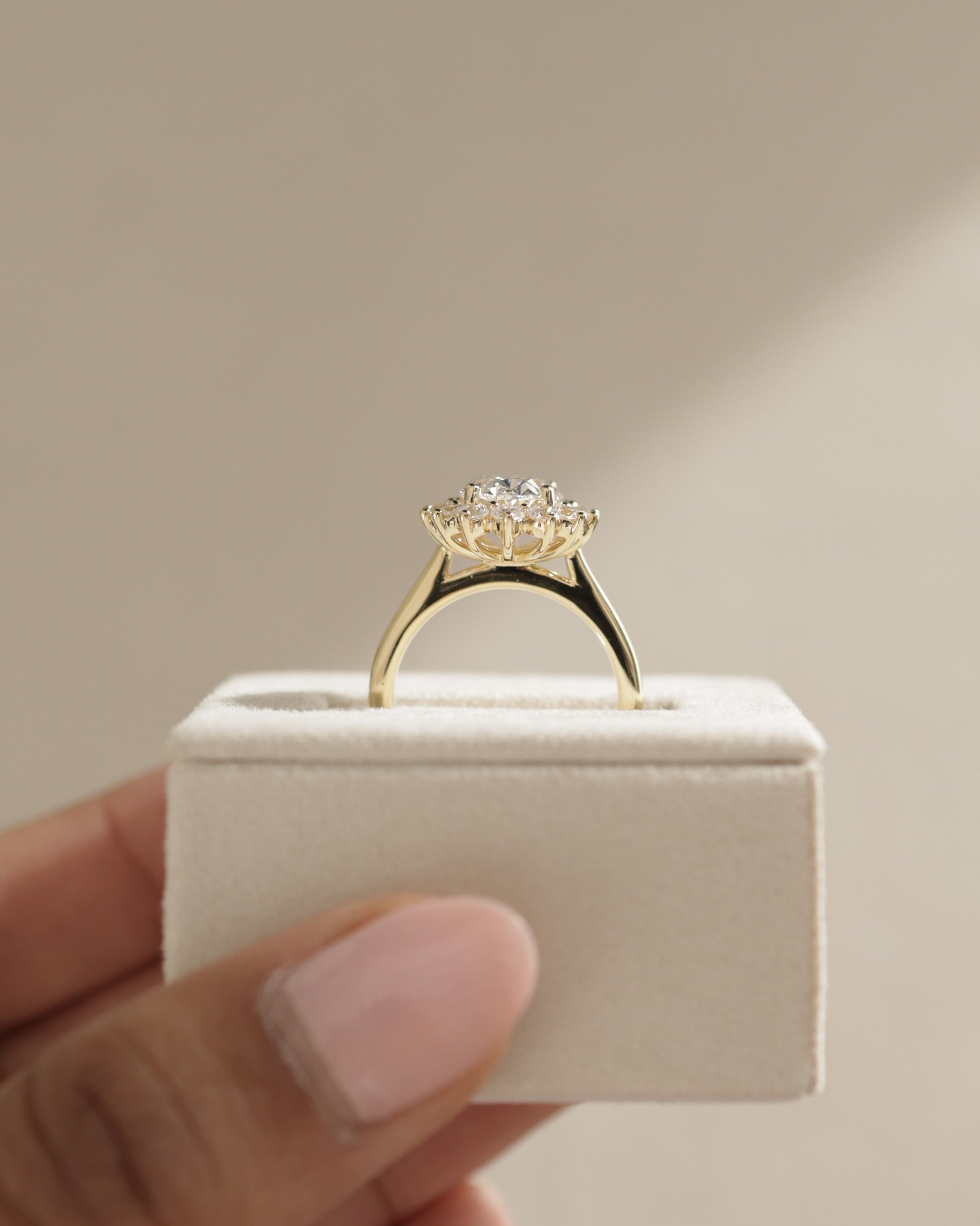 Arielle - Oval Halo with Cathedral Setting Lifestyle Image