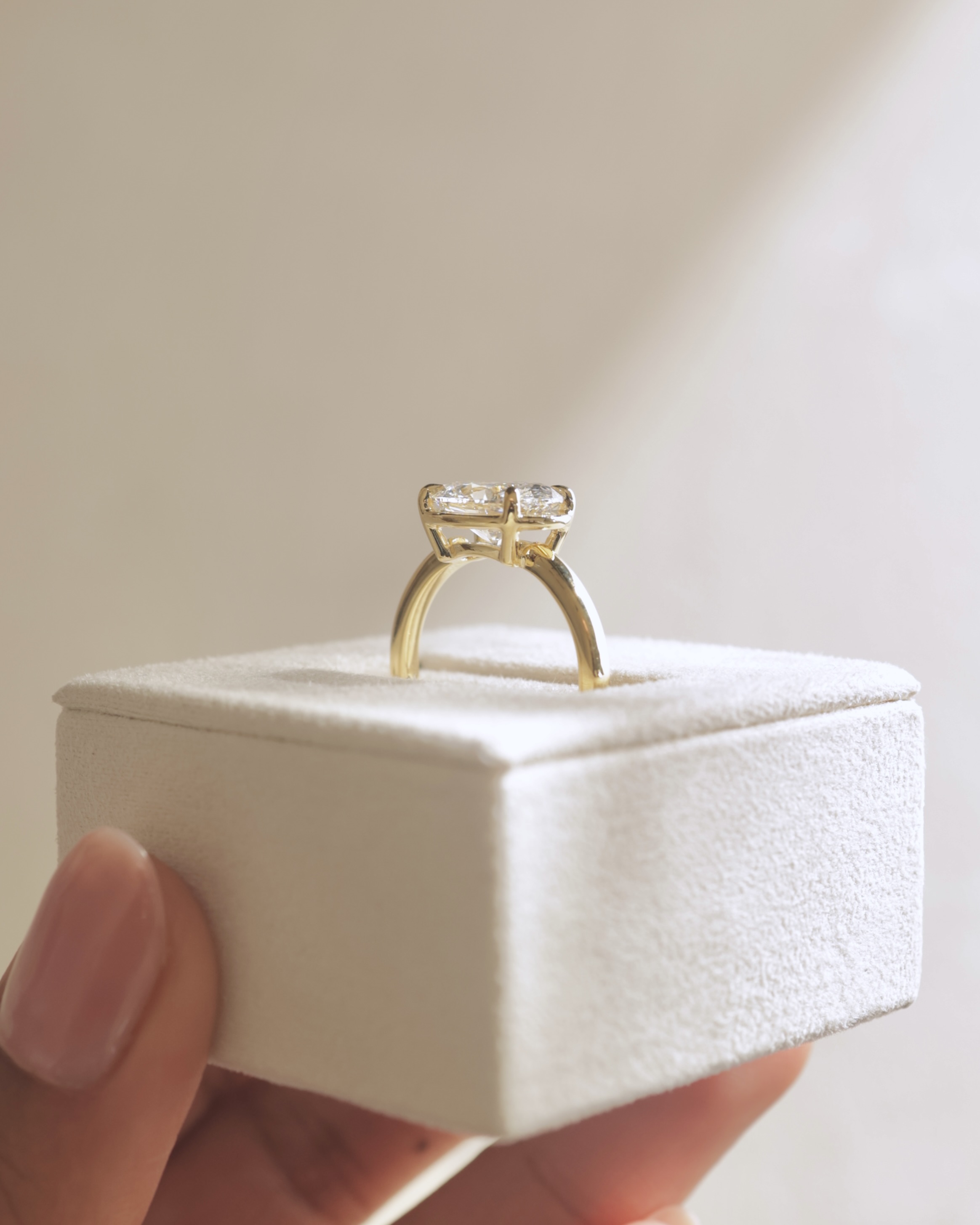 Arlo - Oval East West Bezel Frame Solitaire with Claws Lifestyle Image