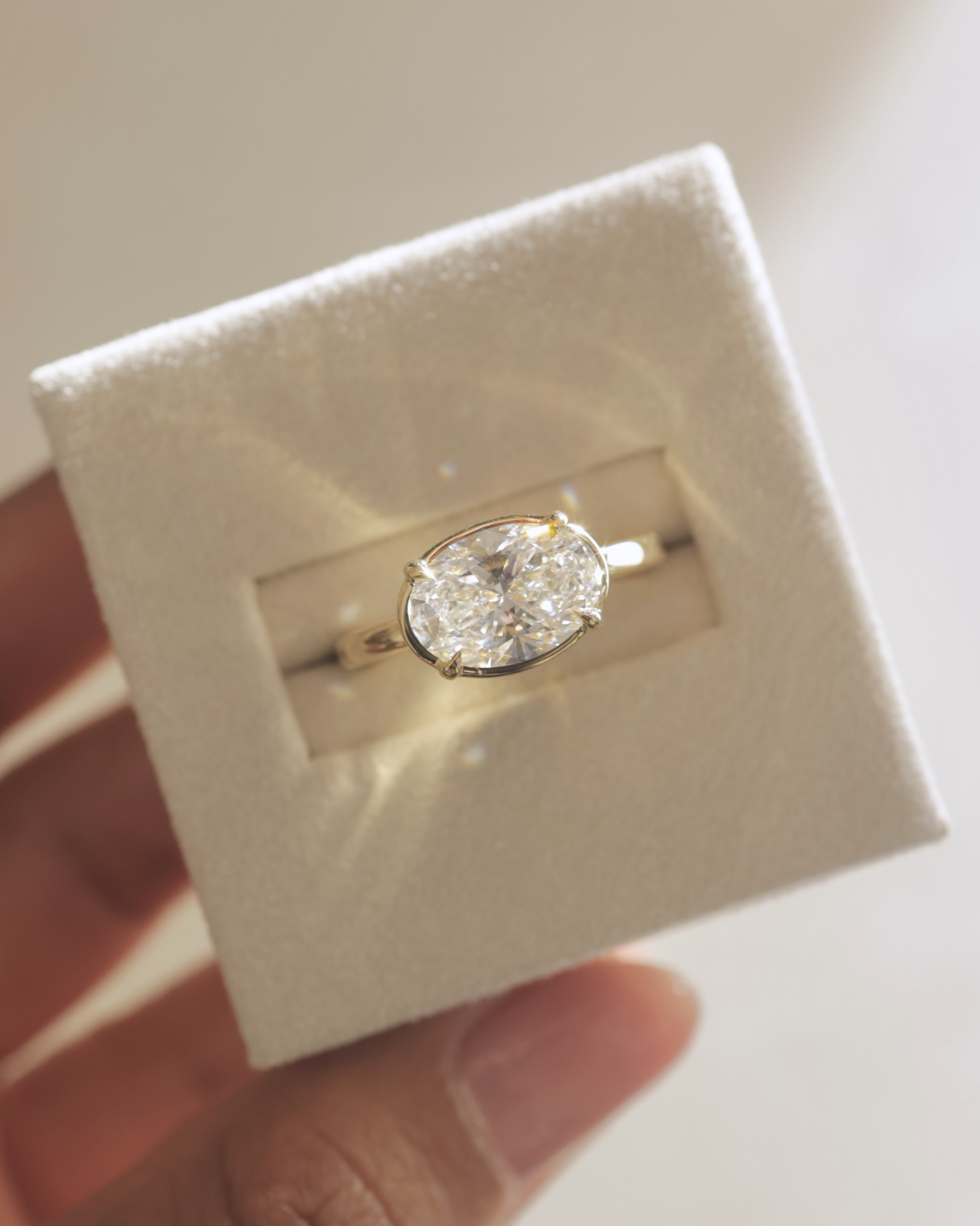 Arlo - Oval East West Bezel Frame Solitaire with Claws Lifestyle Image