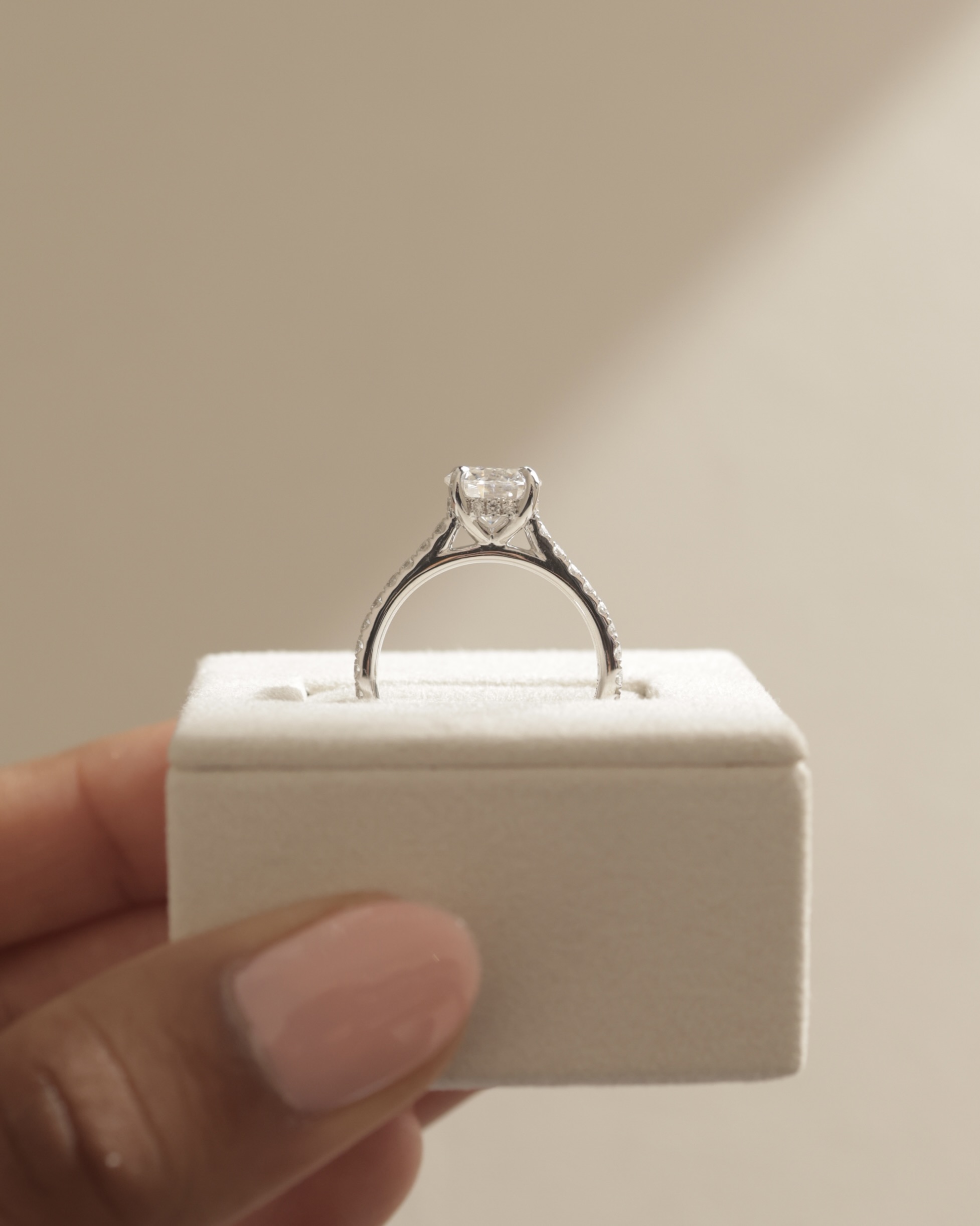 Ashlea  4 Claw Pav Round Solitaire with Hidden Halo Lifestyle Image