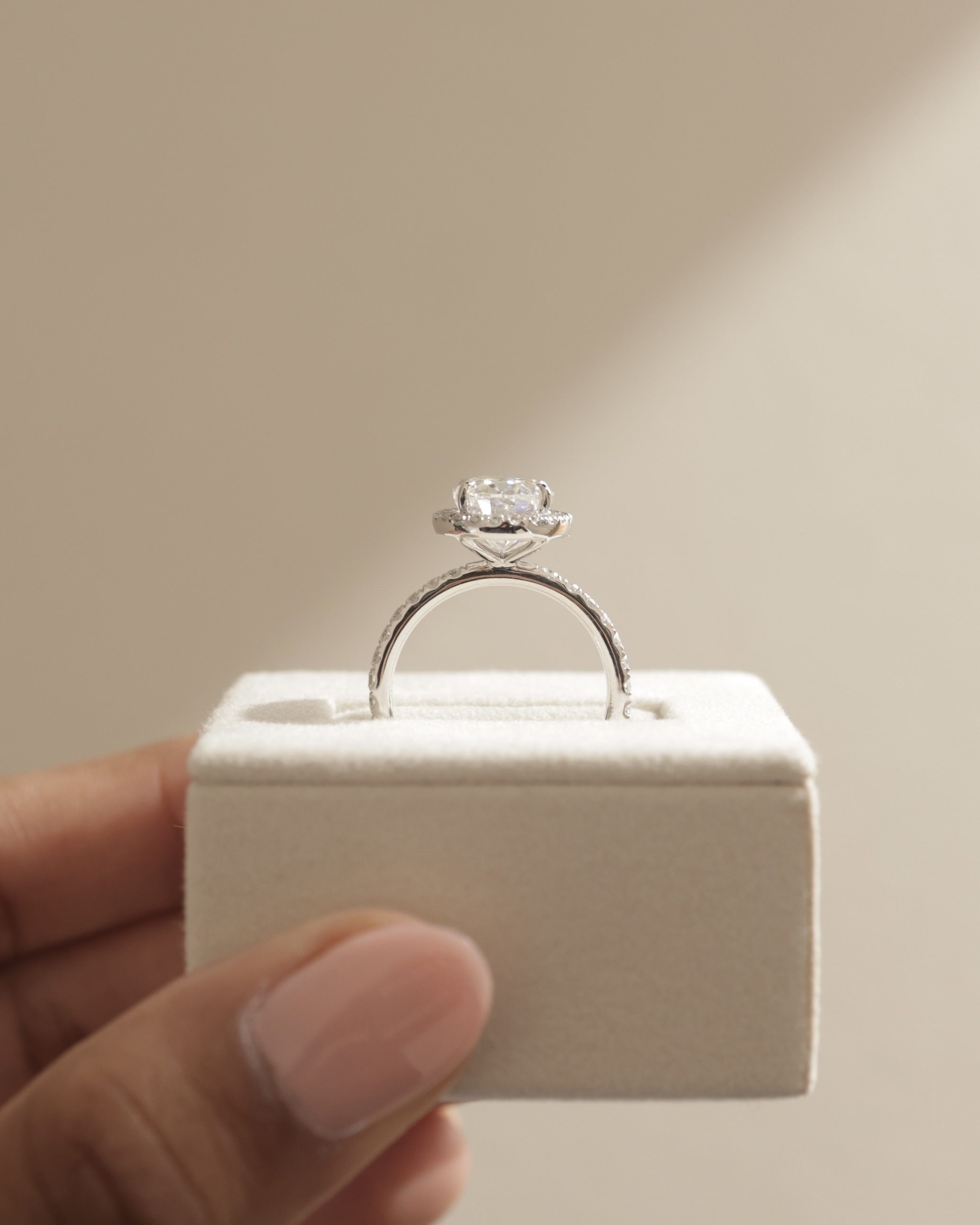 Aurora  Oval Halo with Pav Lifestyle Image