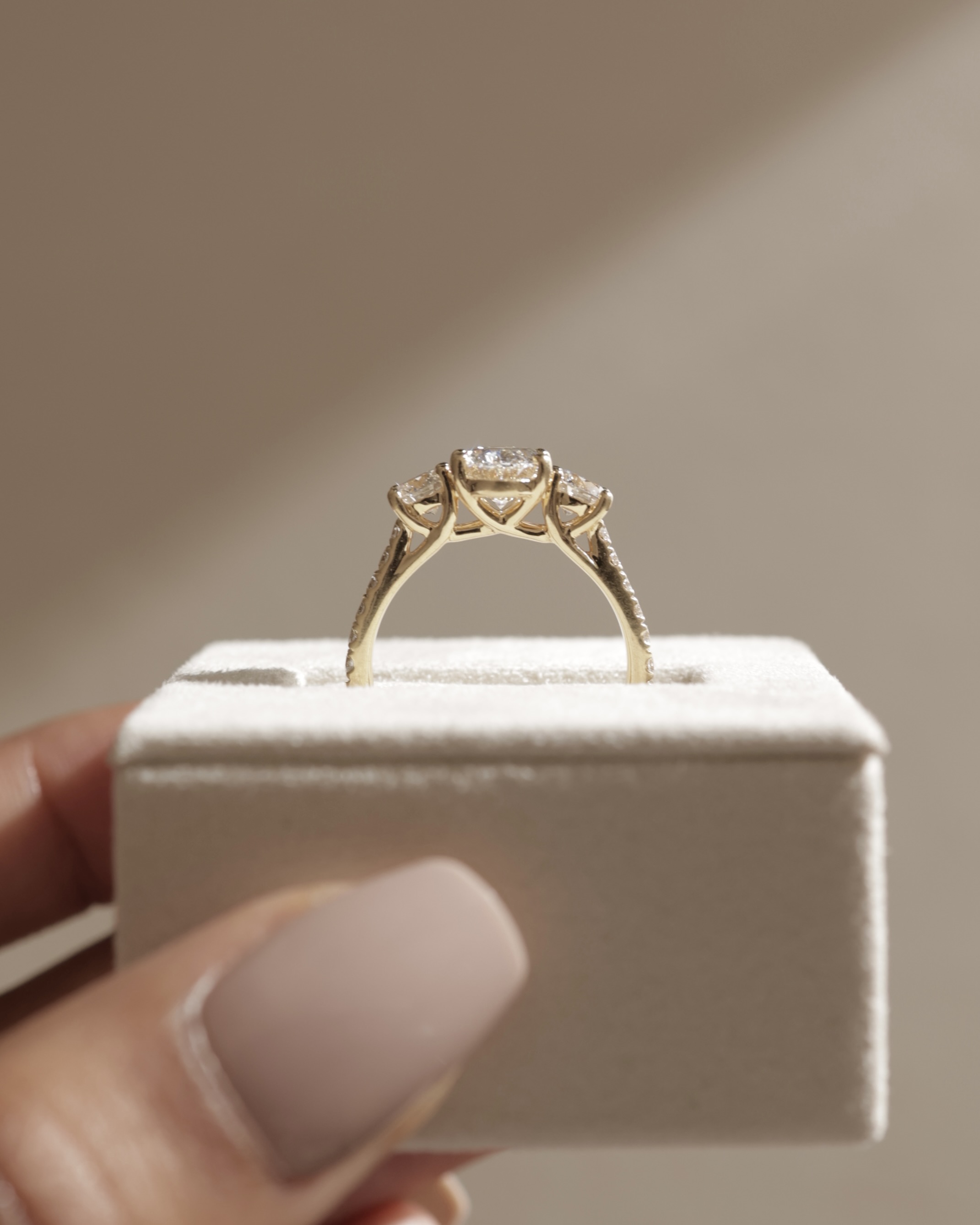 Aviana - 4 Claw Oval Trilogy with Pav Lifestyle Image