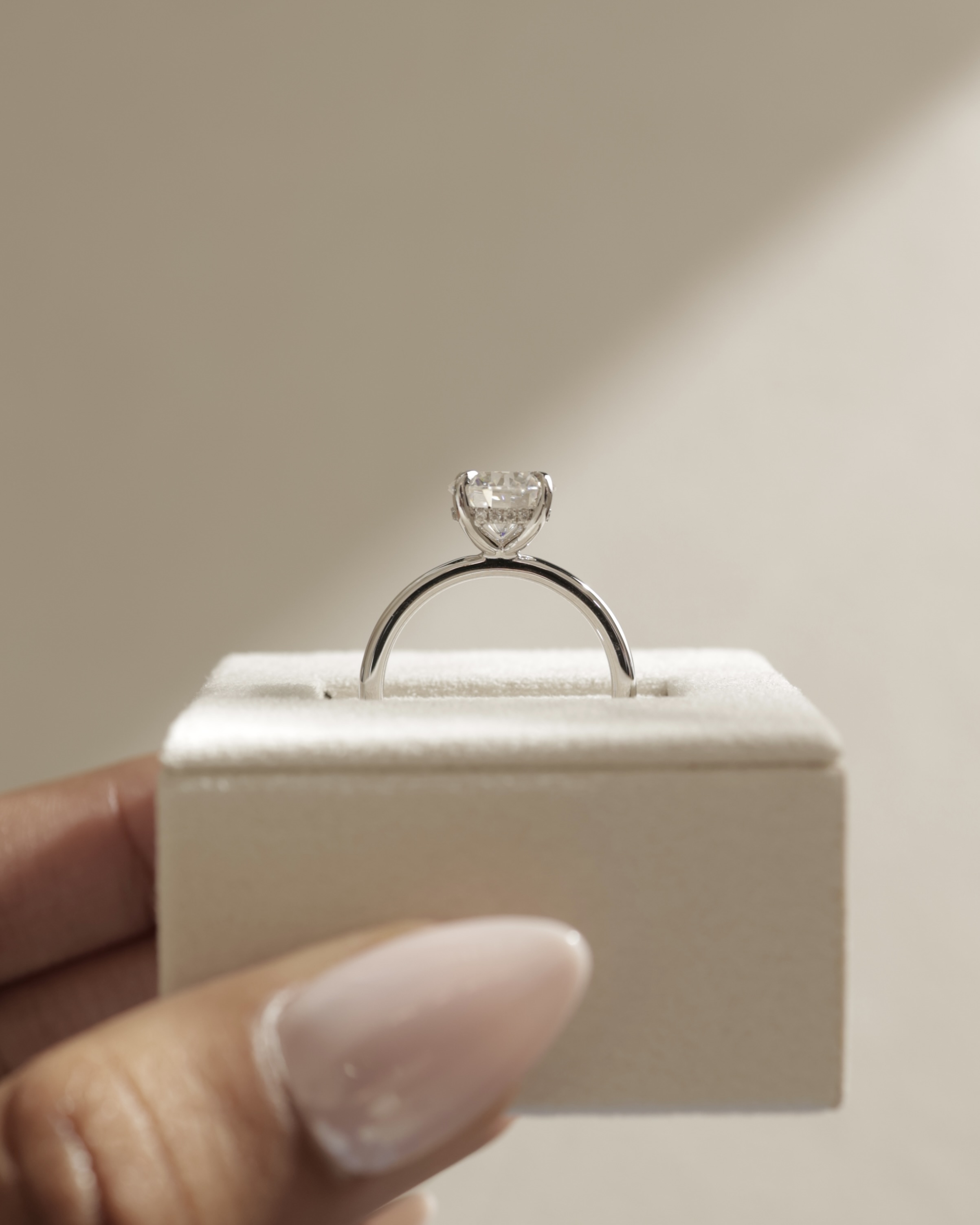 Bindi - Round Solitaire with Hidden Halo Lifestyle Image