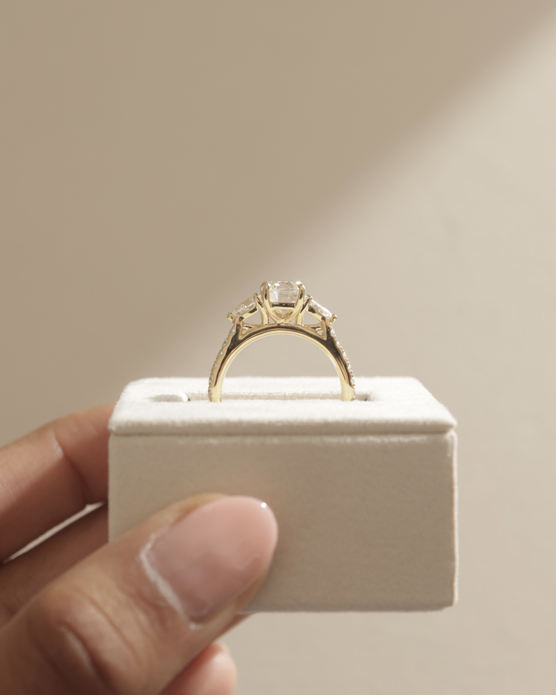 Bree  Elongated Cushion Trilogy with Pav Lifestyle Image