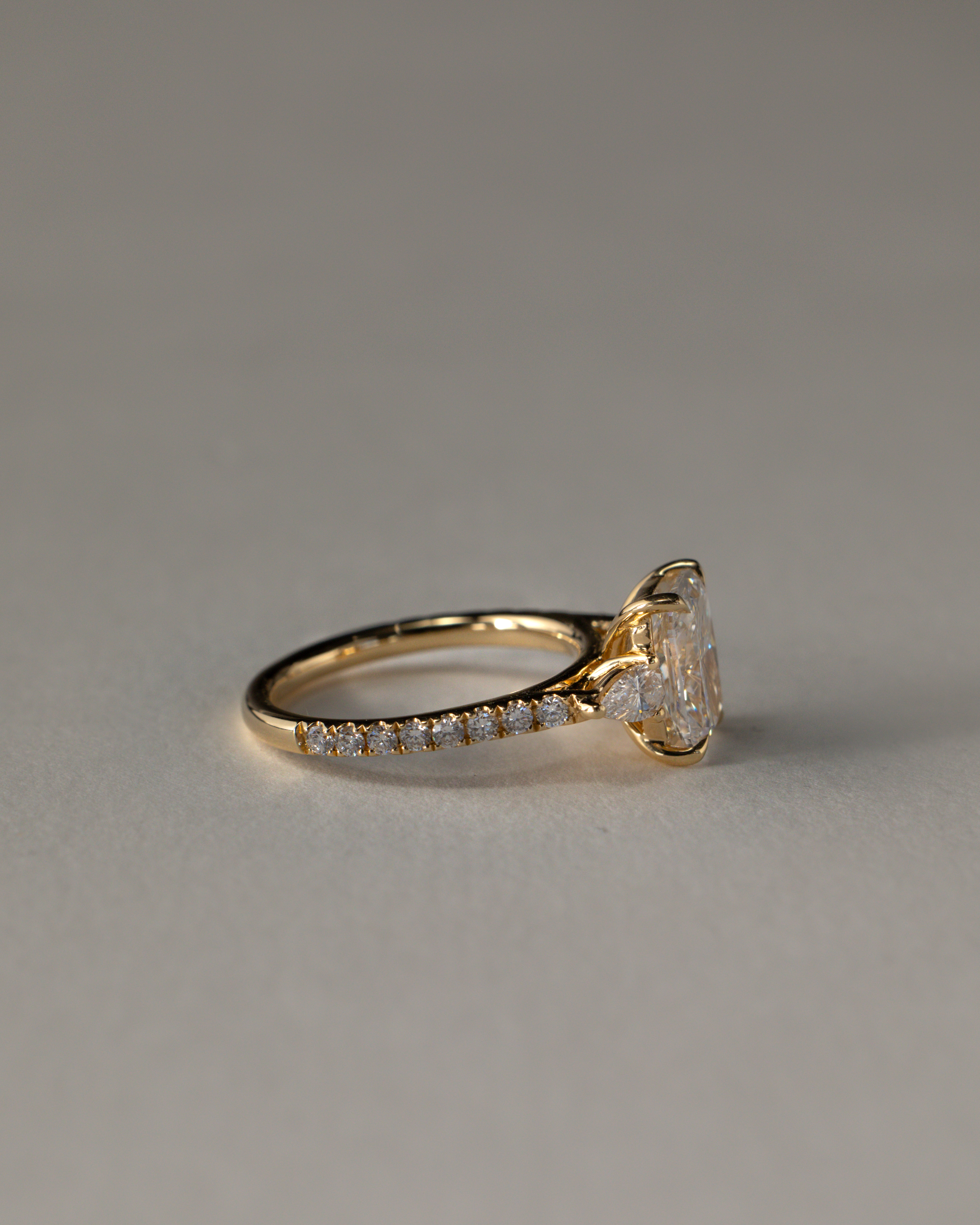 Bree  Elongated Cushion Trilogy with Pav Lifestyle Image