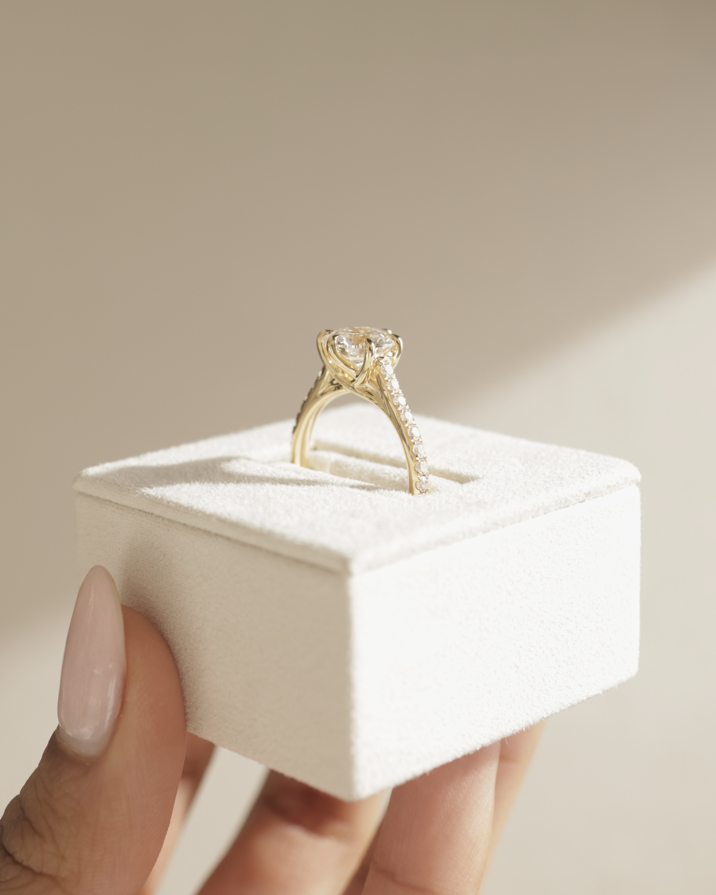 Briar  6 Claw Pav Cathedral Round Solitaire Lifestyle Image