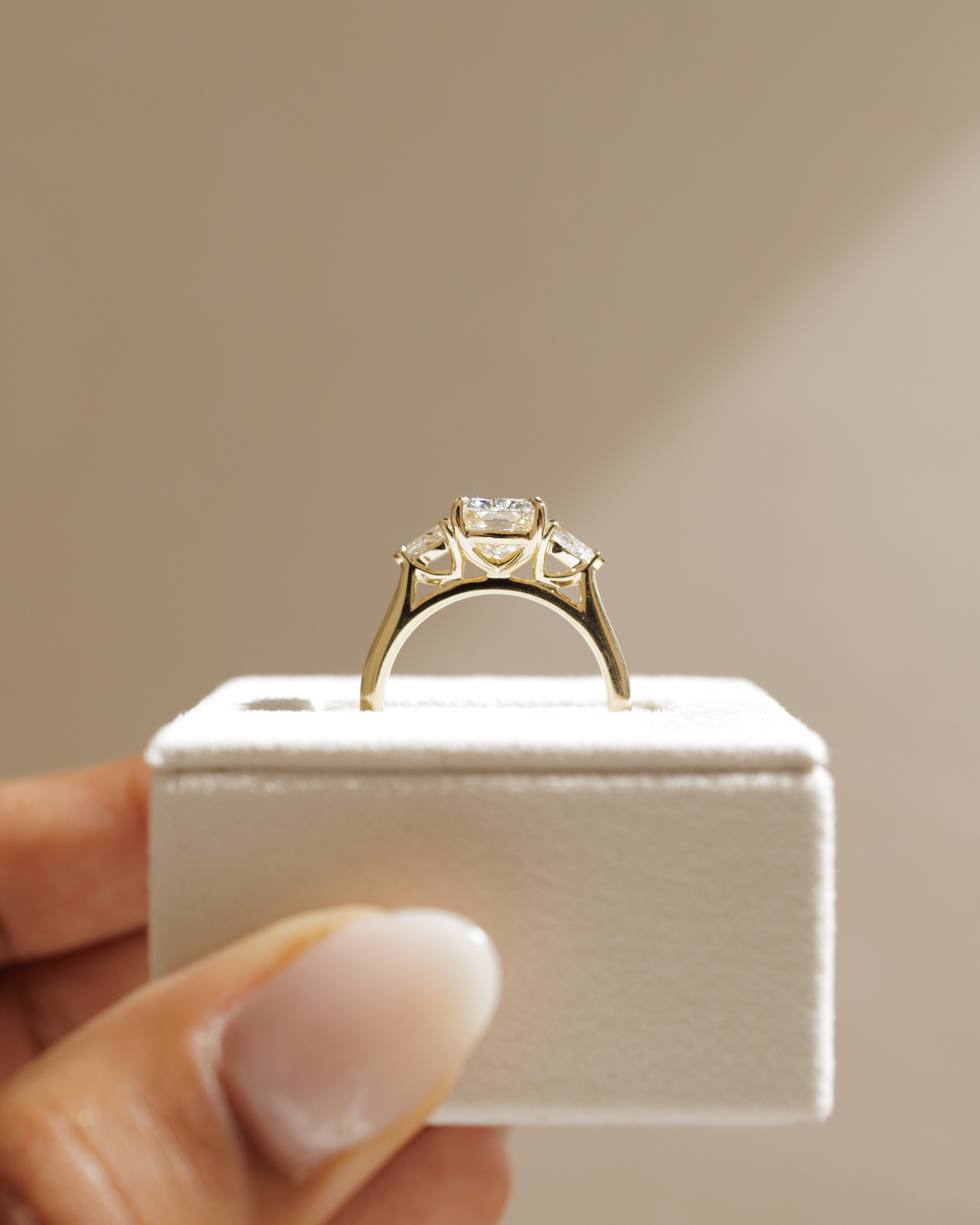 Cataleya - 4 Claw Elongated Cushion with Accent Stones Lifestyle Image