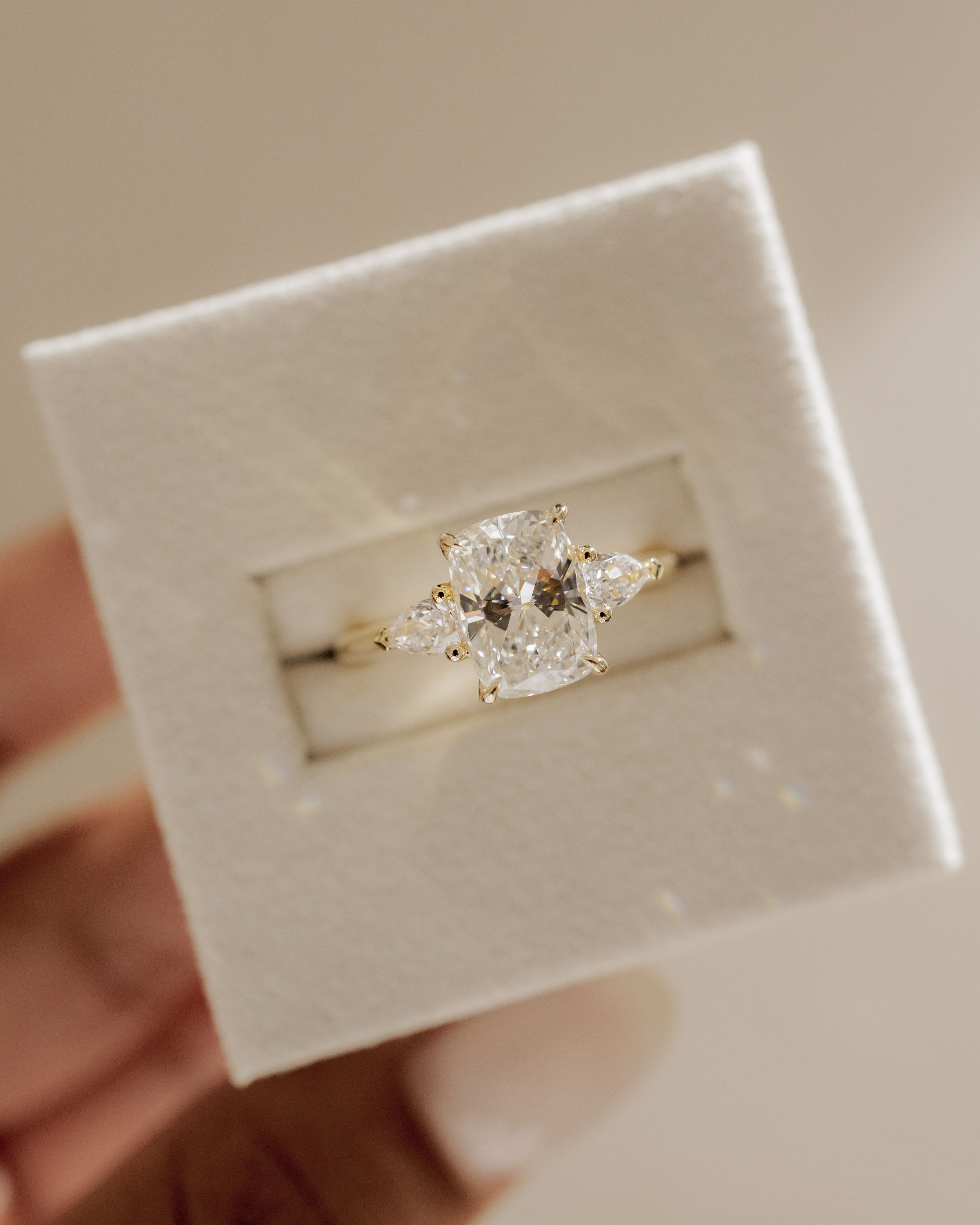 Cataleya - 4 Claw Elongated Cushion with Accent Stones Lifestyle Image