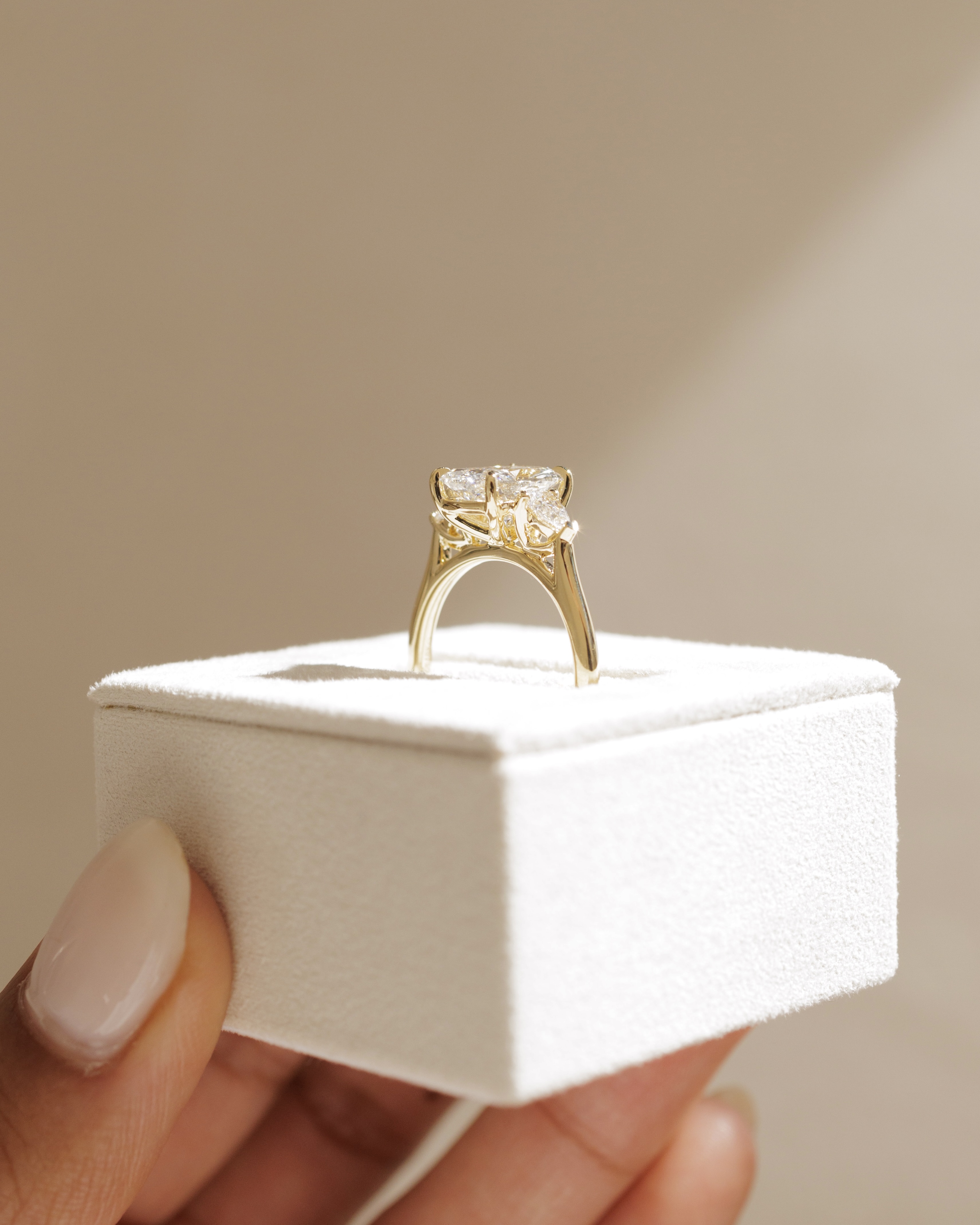 Cataleya - 4 Claw Elongated Cushion with Accent Stones Lifestyle Image