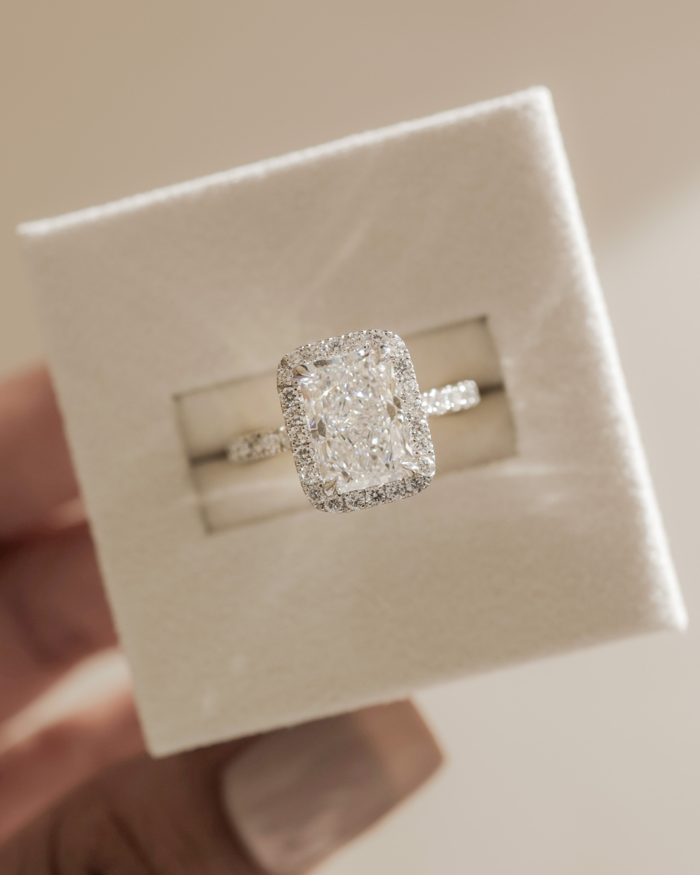 Catherine  Radiant Halo with Pave Lifestyle Image