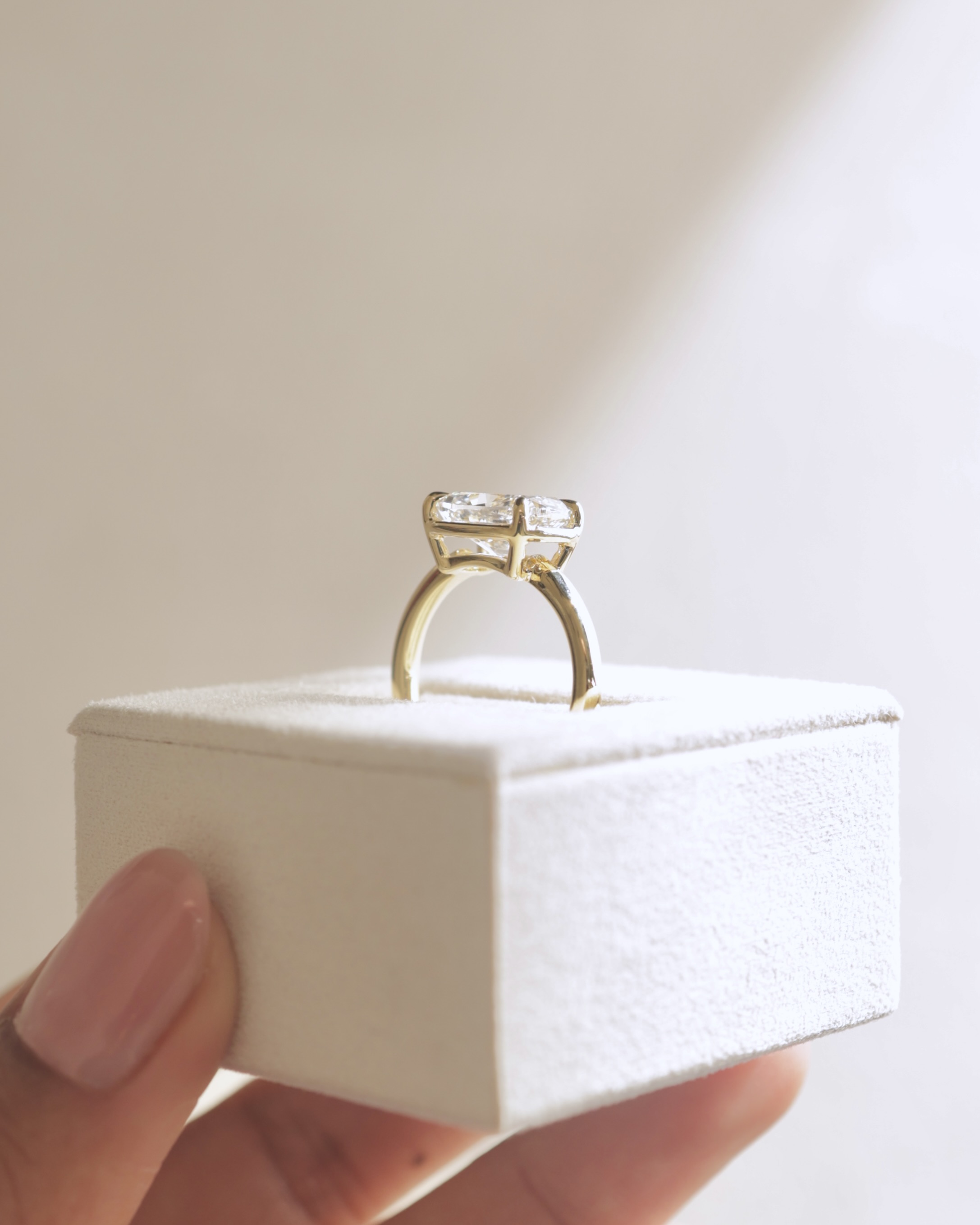 Daya - Elongated Cushion East West Bezel Frame Solitaire with Claws Lifestyle Image