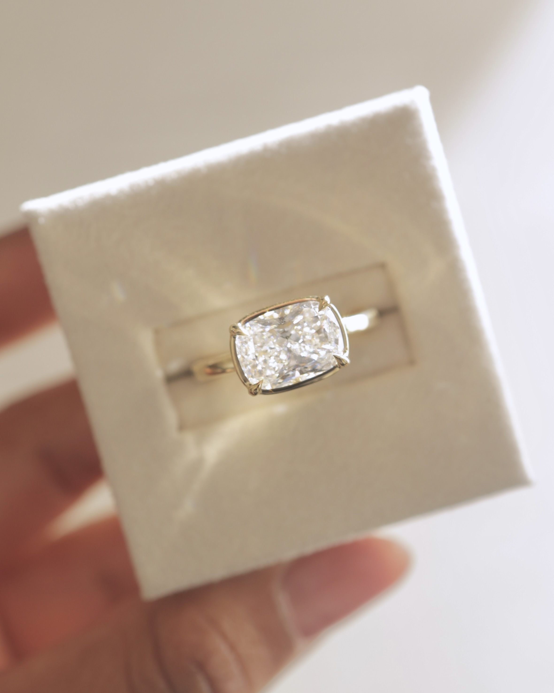 Daya - Elongated Cushion East West Bezel Frame Solitaire with Claws Lifestyle Image