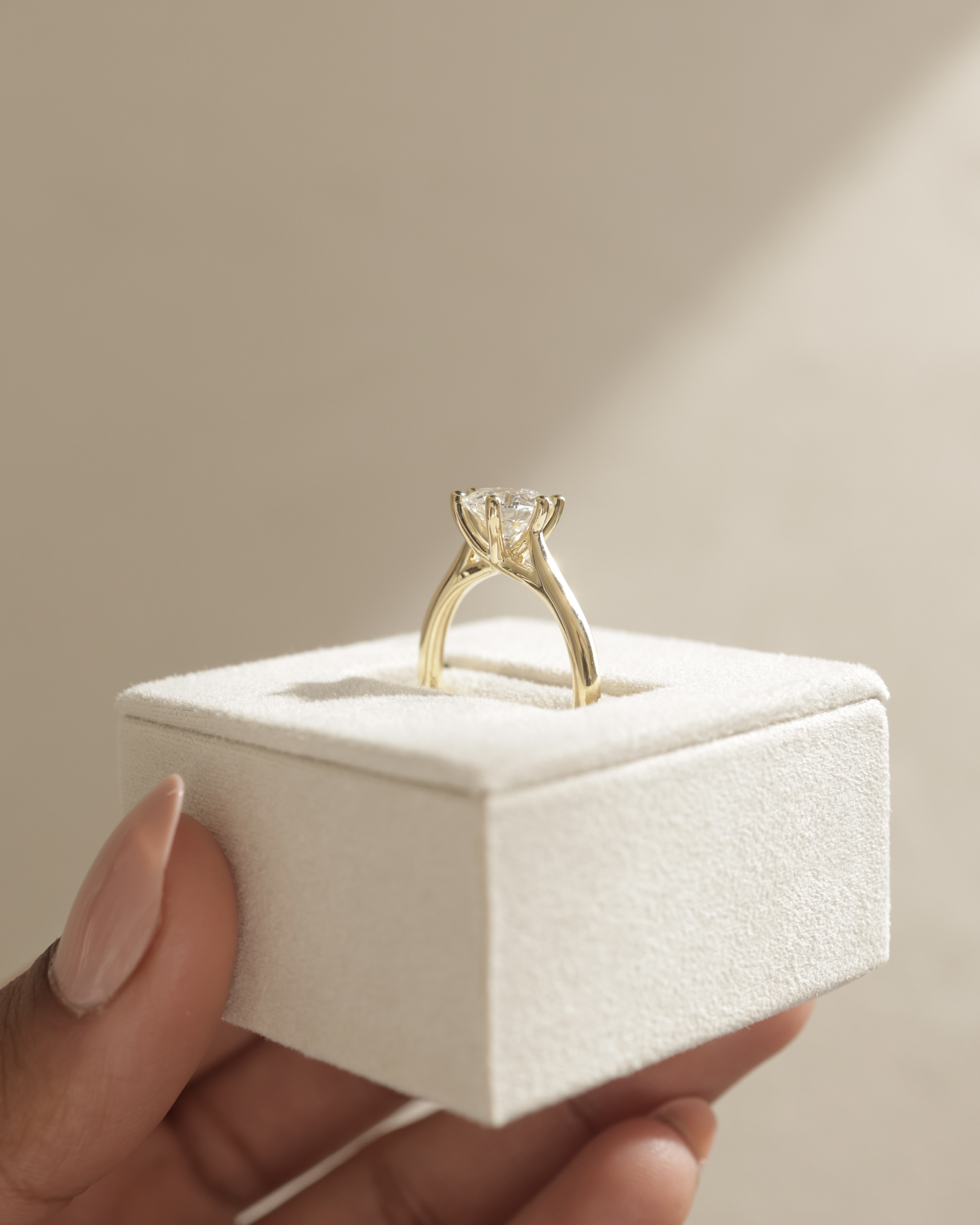 Delilah - 6 Claw Cathedral Round Solitaire Lifestyle Image