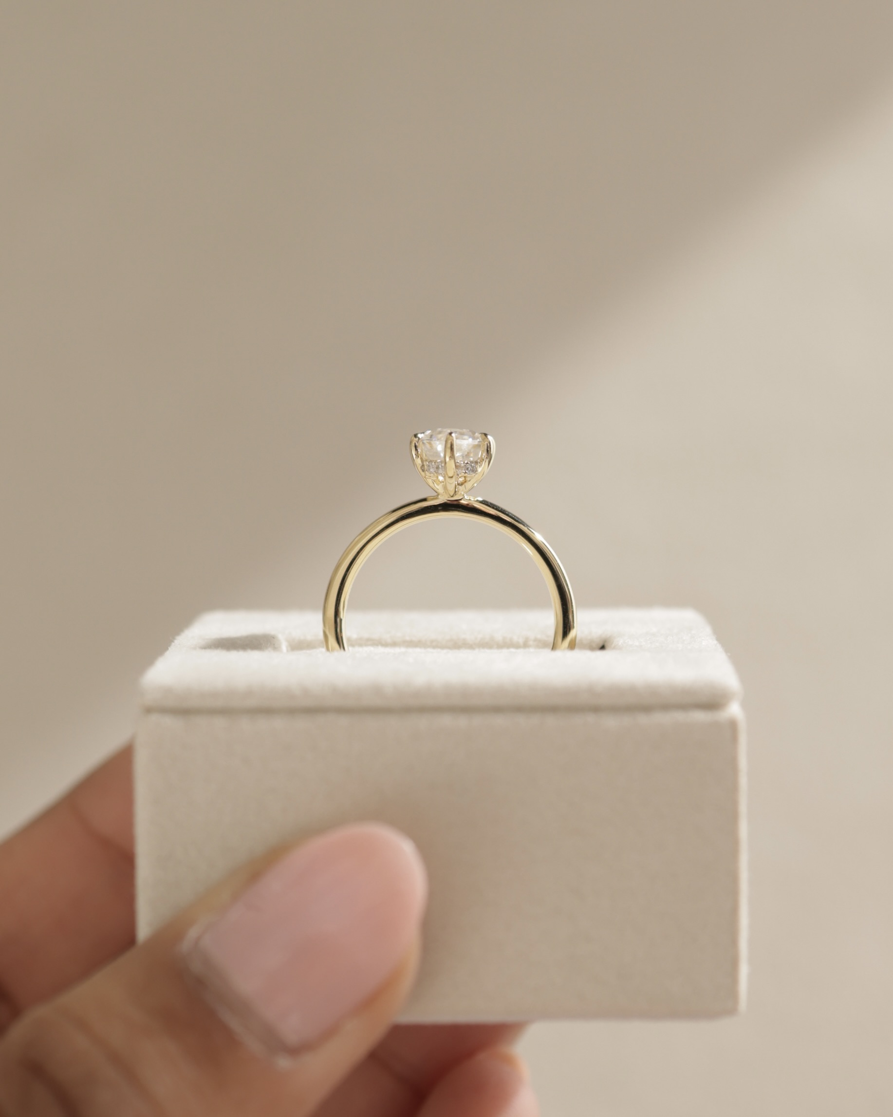 Delta - 6 Claw Elongated Hexagon with Hidden Halo Lifestyle Image