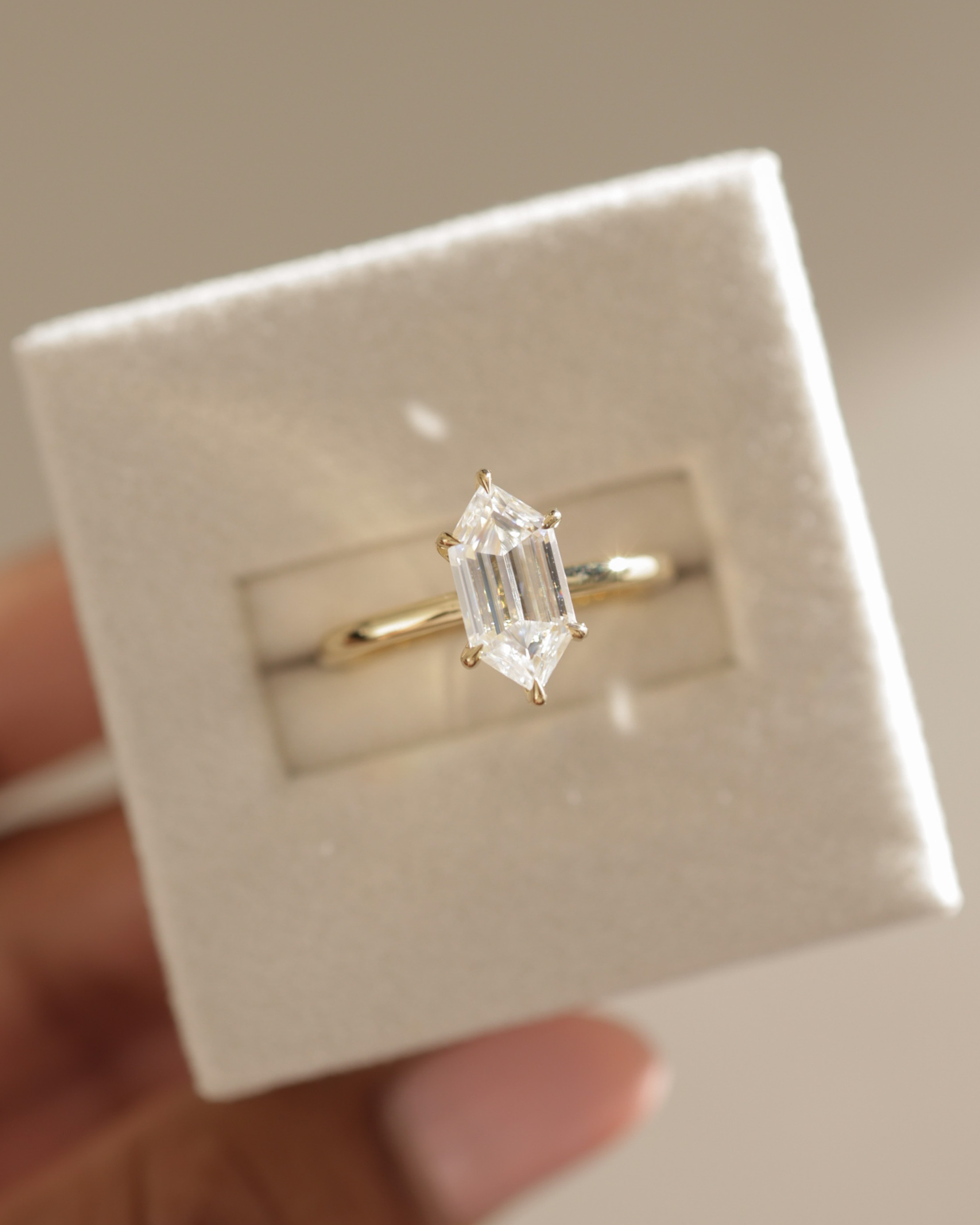 Delta - 6 Claw Elongated Hexagon with Hidden Halo Lifestyle Image