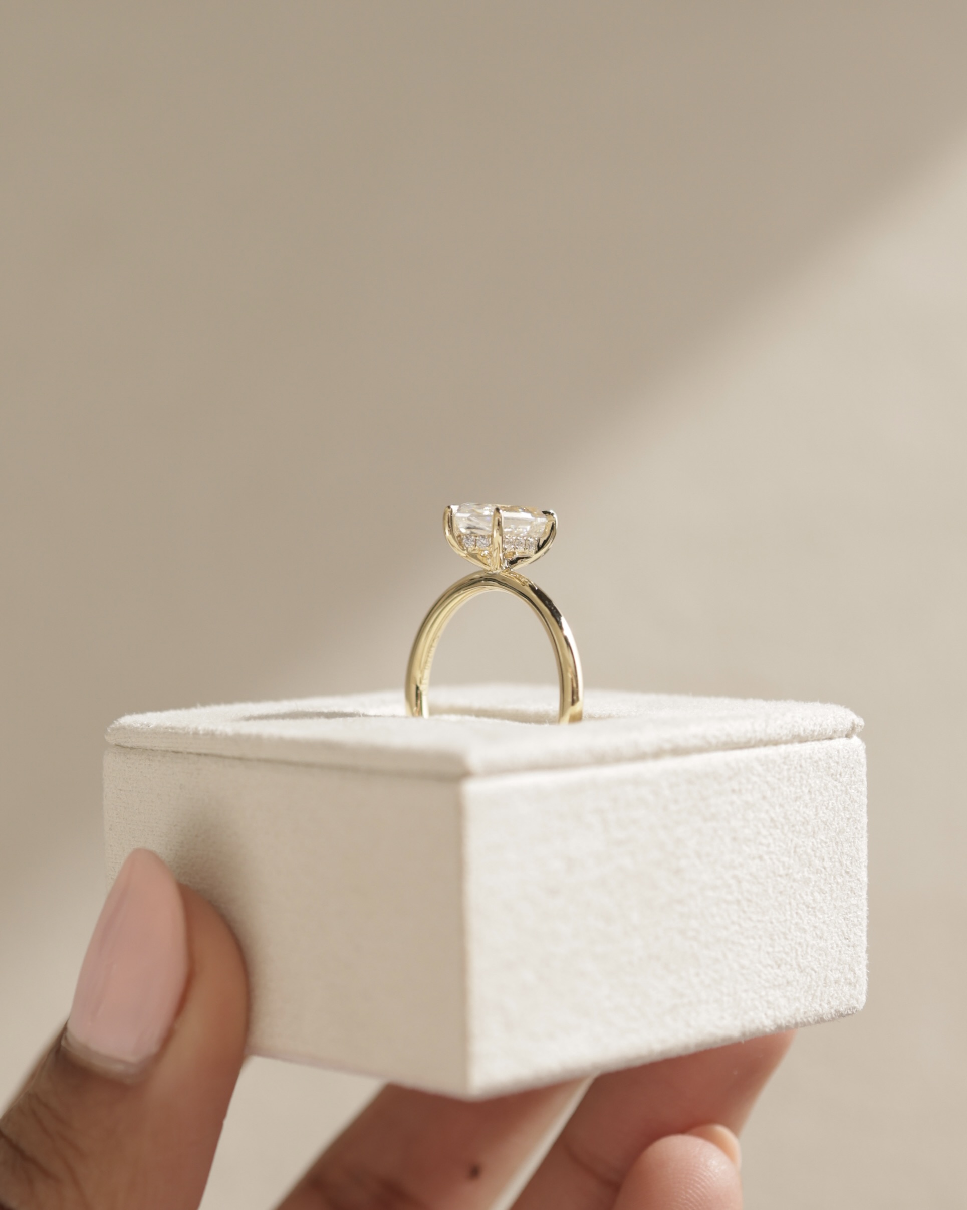 Delta - 6 Claw Elongated Hexagon with Hidden Halo Lifestyle Image