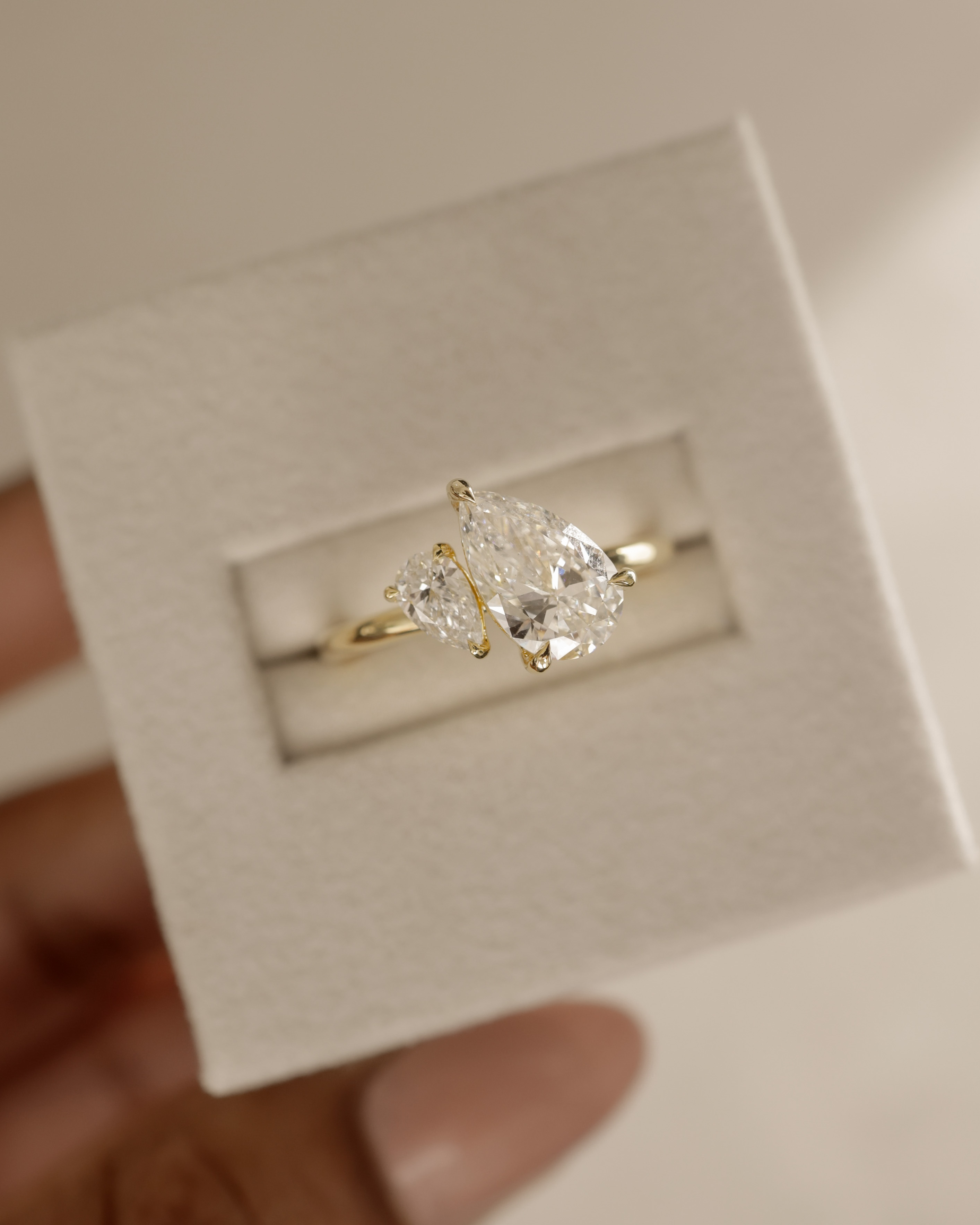 Francesca - Double Pear Toi et Moi Lifestyle Image