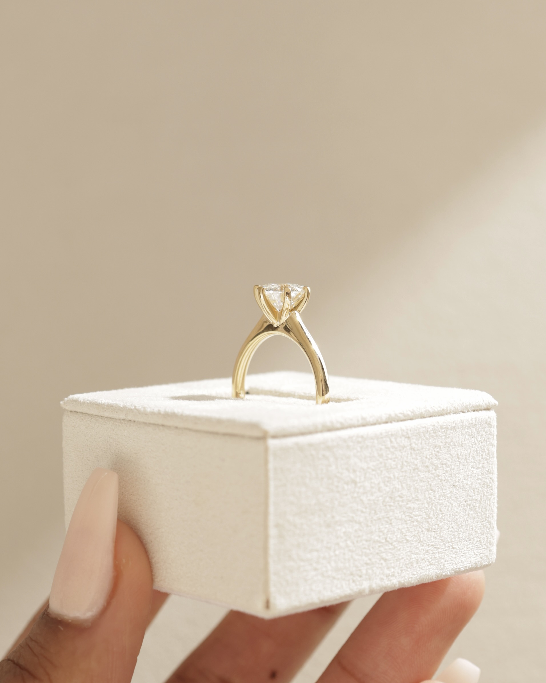 Gabrielle  6 Claw Solitaire Lifestyle Image