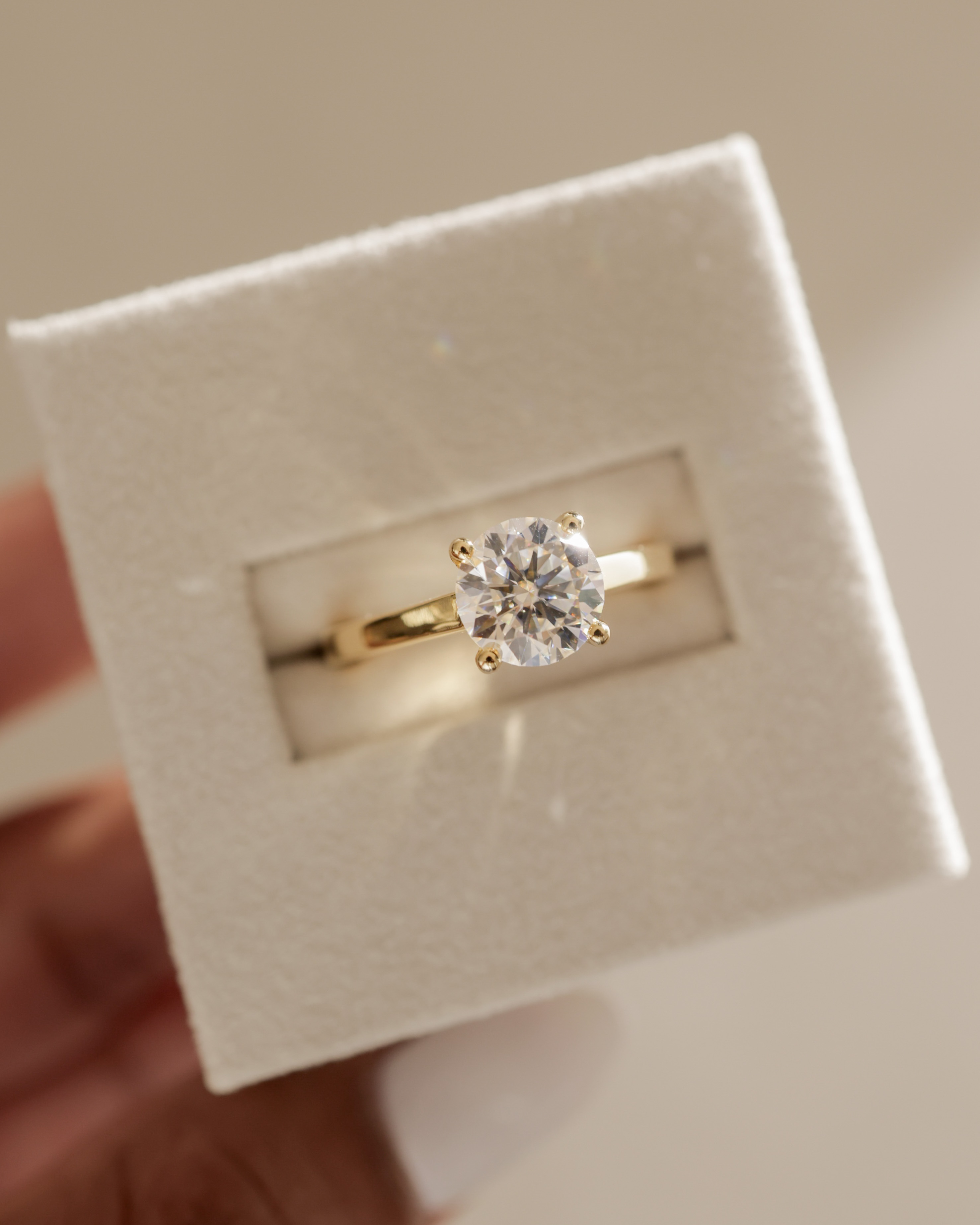 Georgia  4 Claw Cathedral Round Solitaire Lifestyle Image